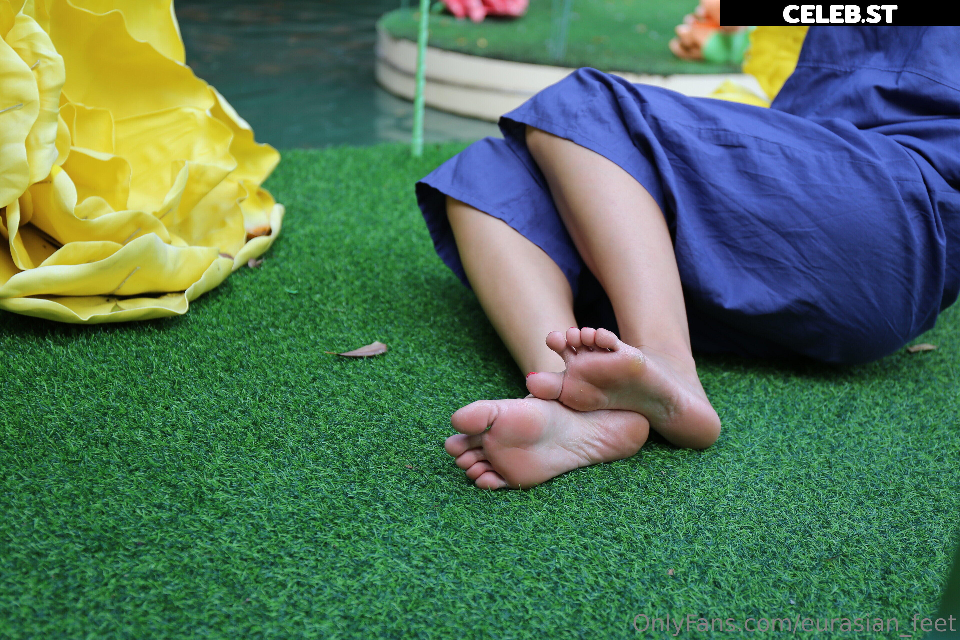 eurasian_feet Image 18054290