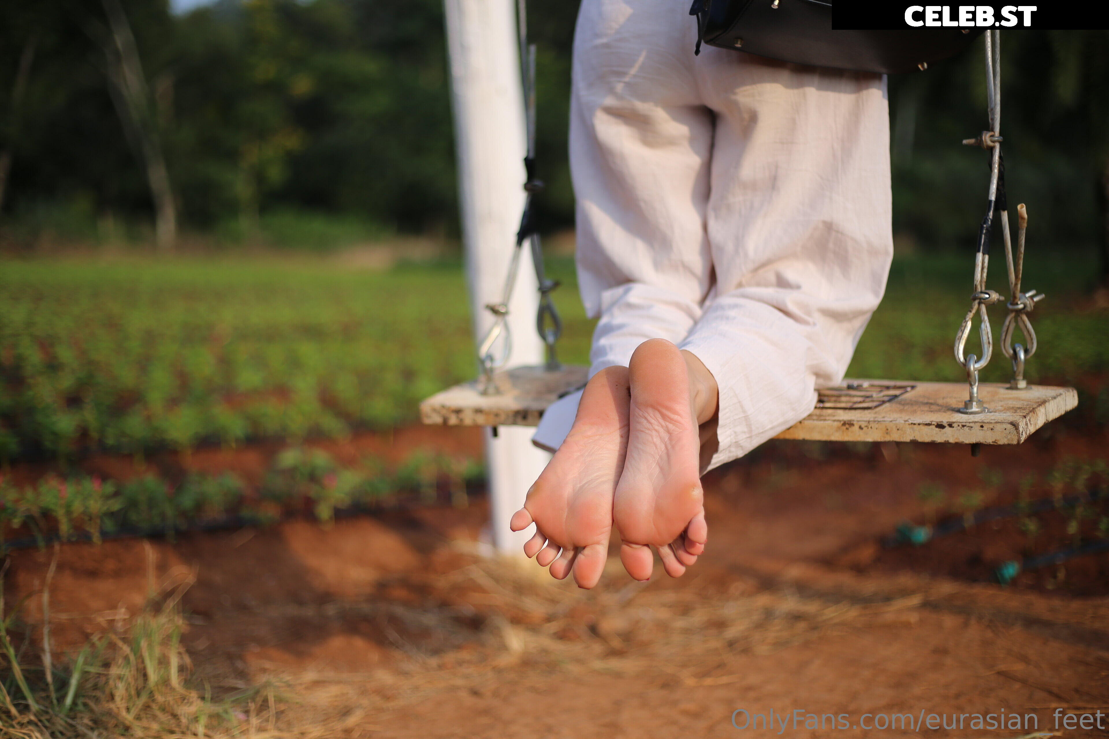 eurasian_feet Image 18054214