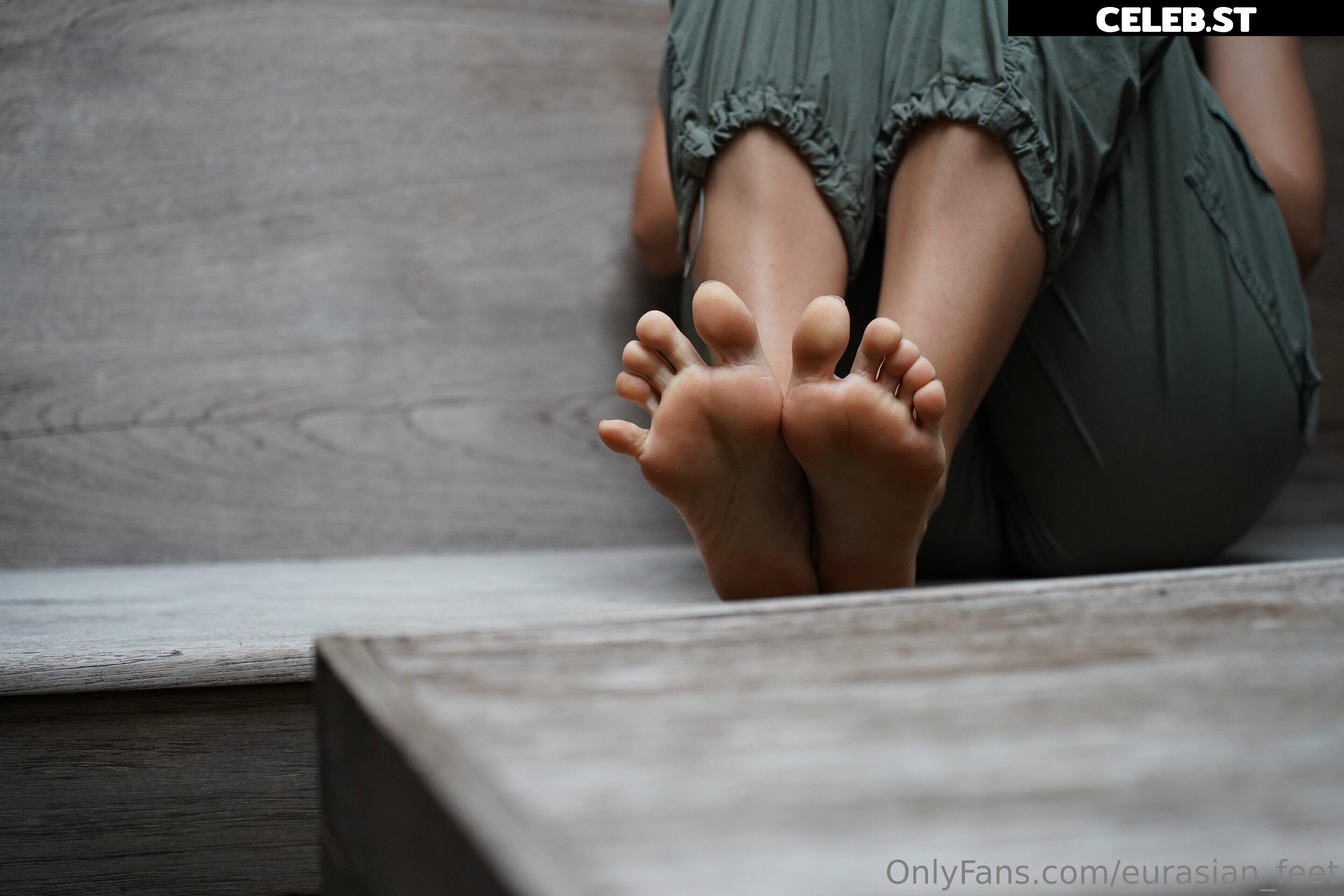 eurasian_feet Image 18054261