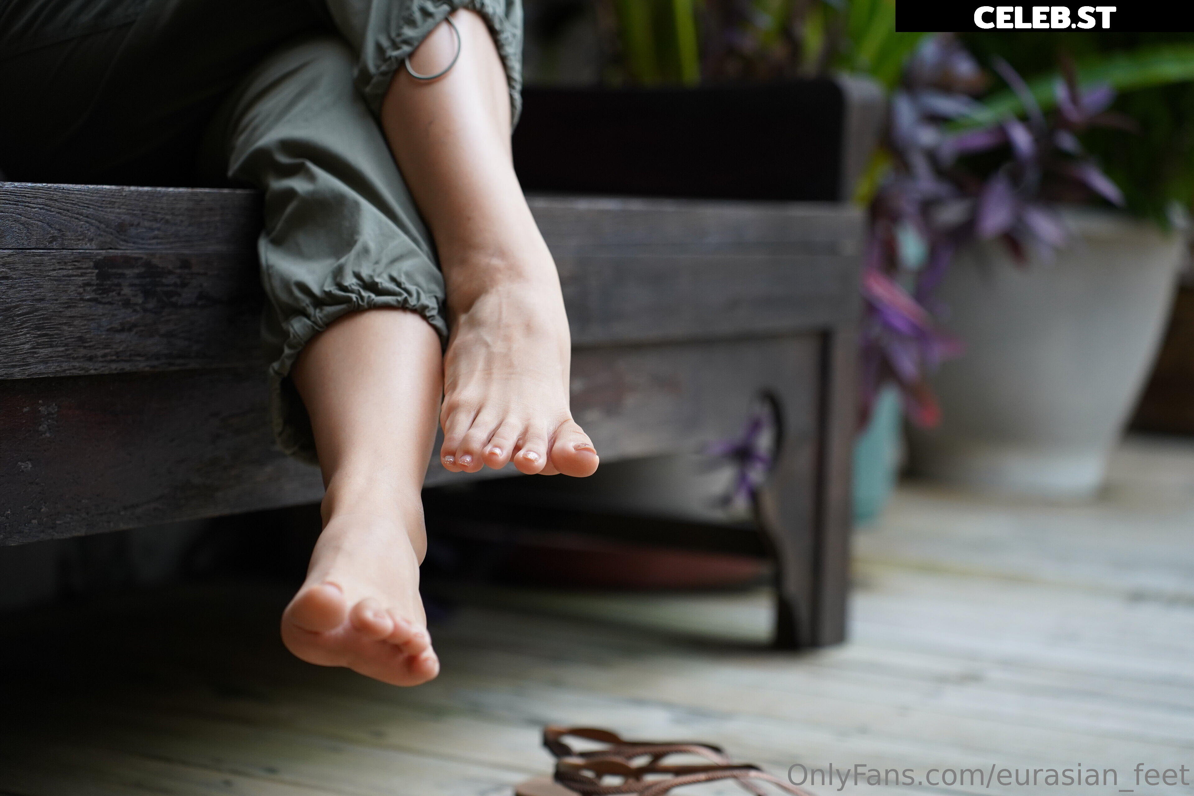 eurasian_feet Image 18054258