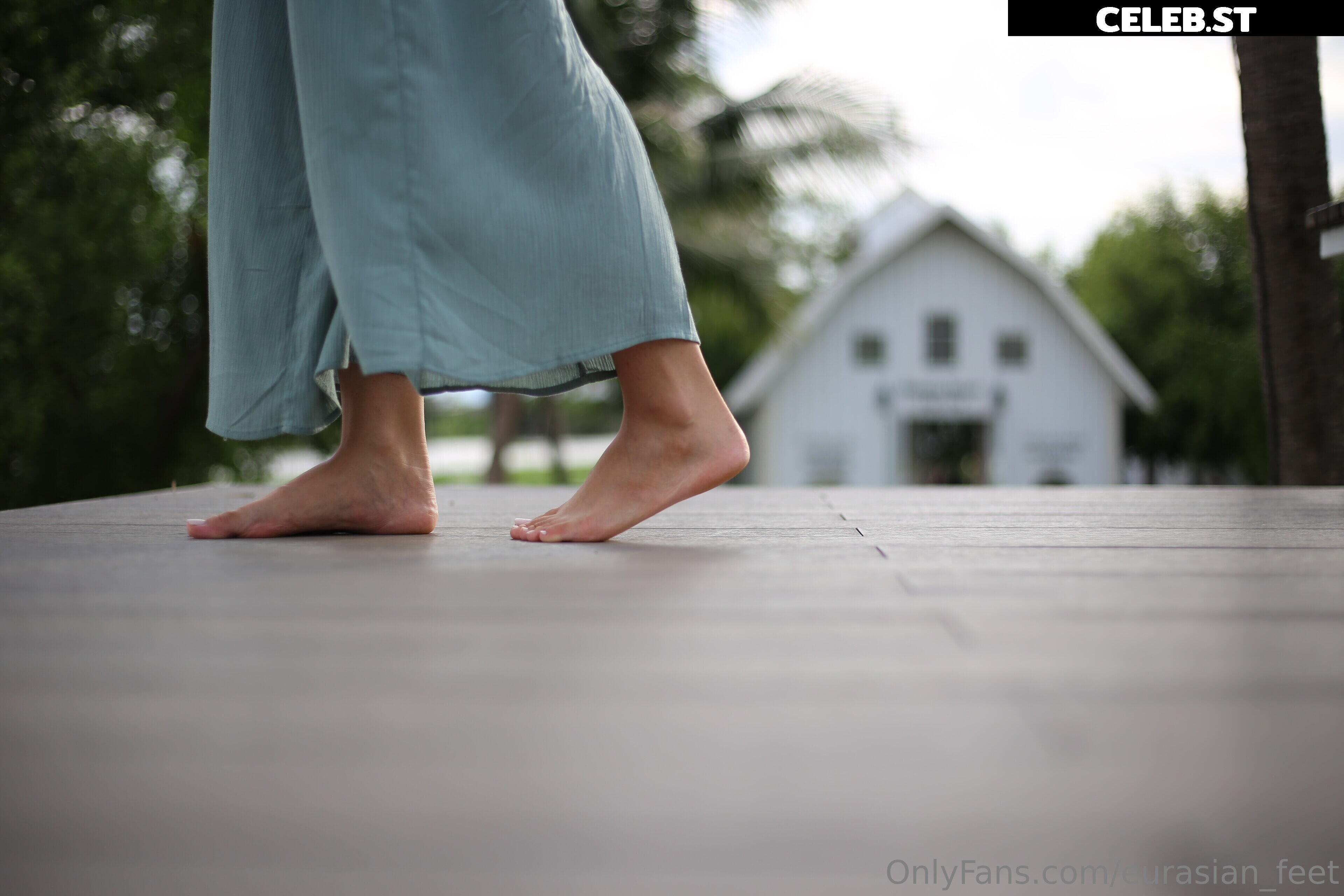 eurasian_feet Image 18057567