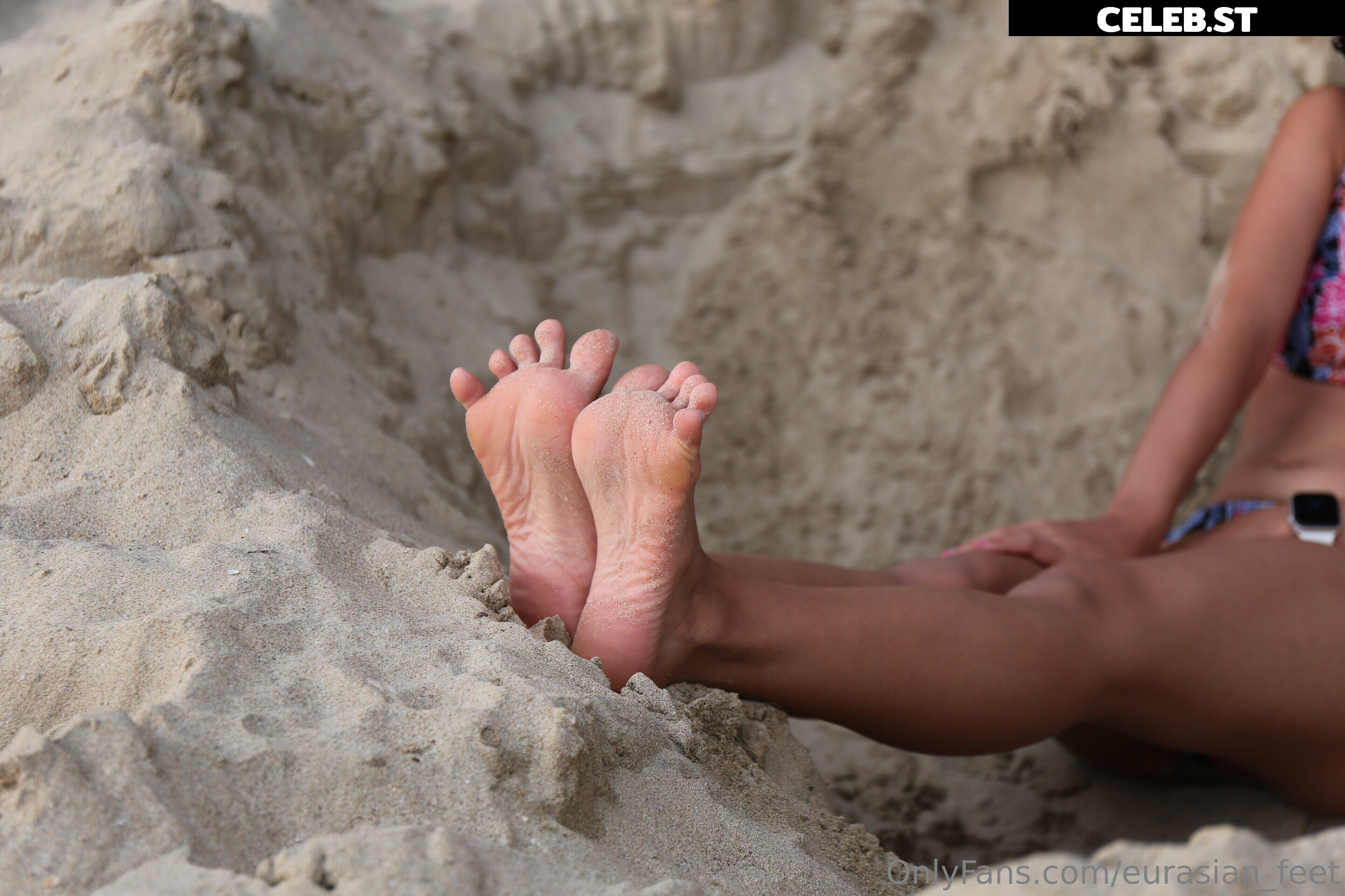 eurasian_feet Image 18057688
