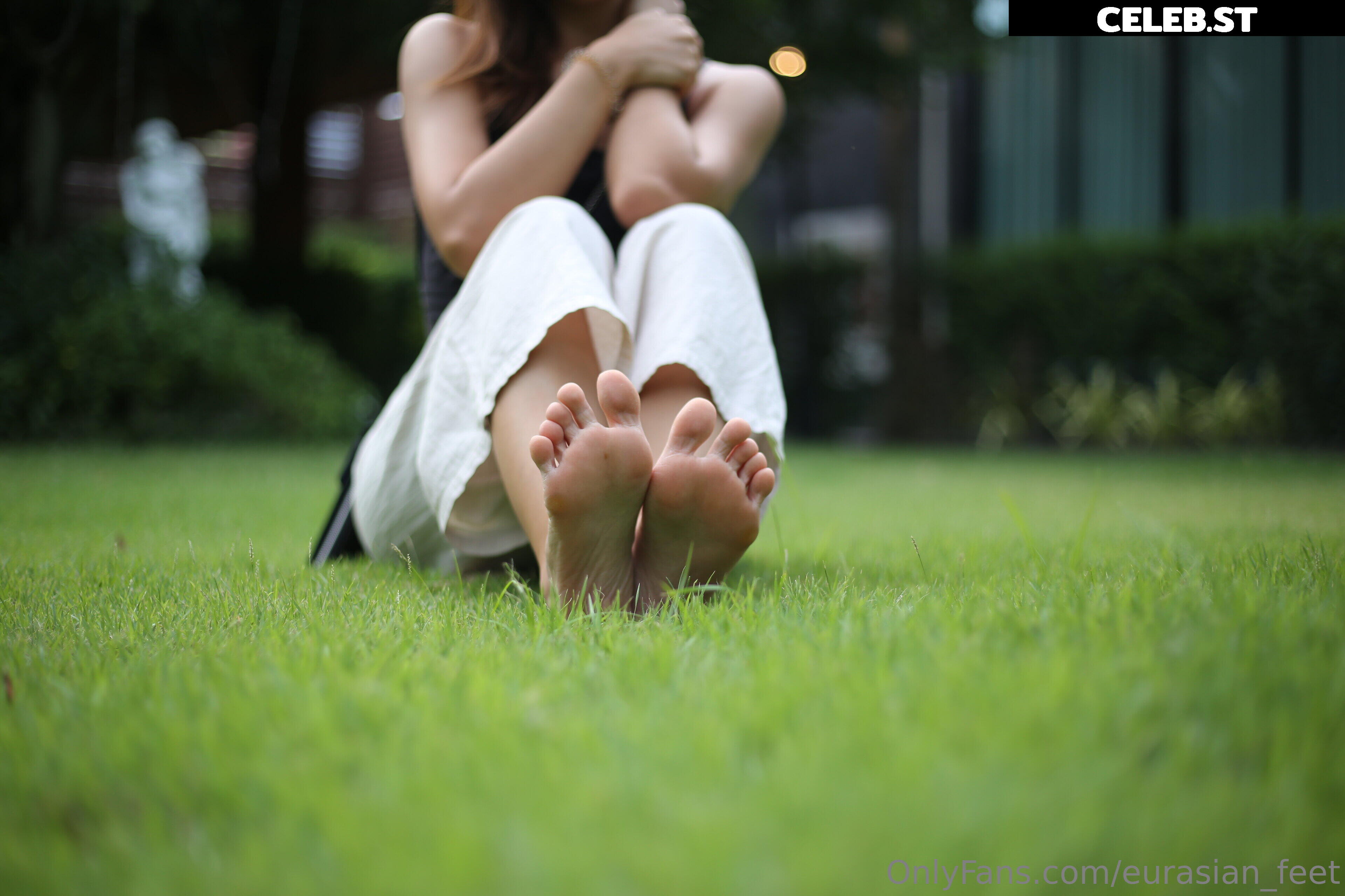 eurasian_feet Image 18057613
