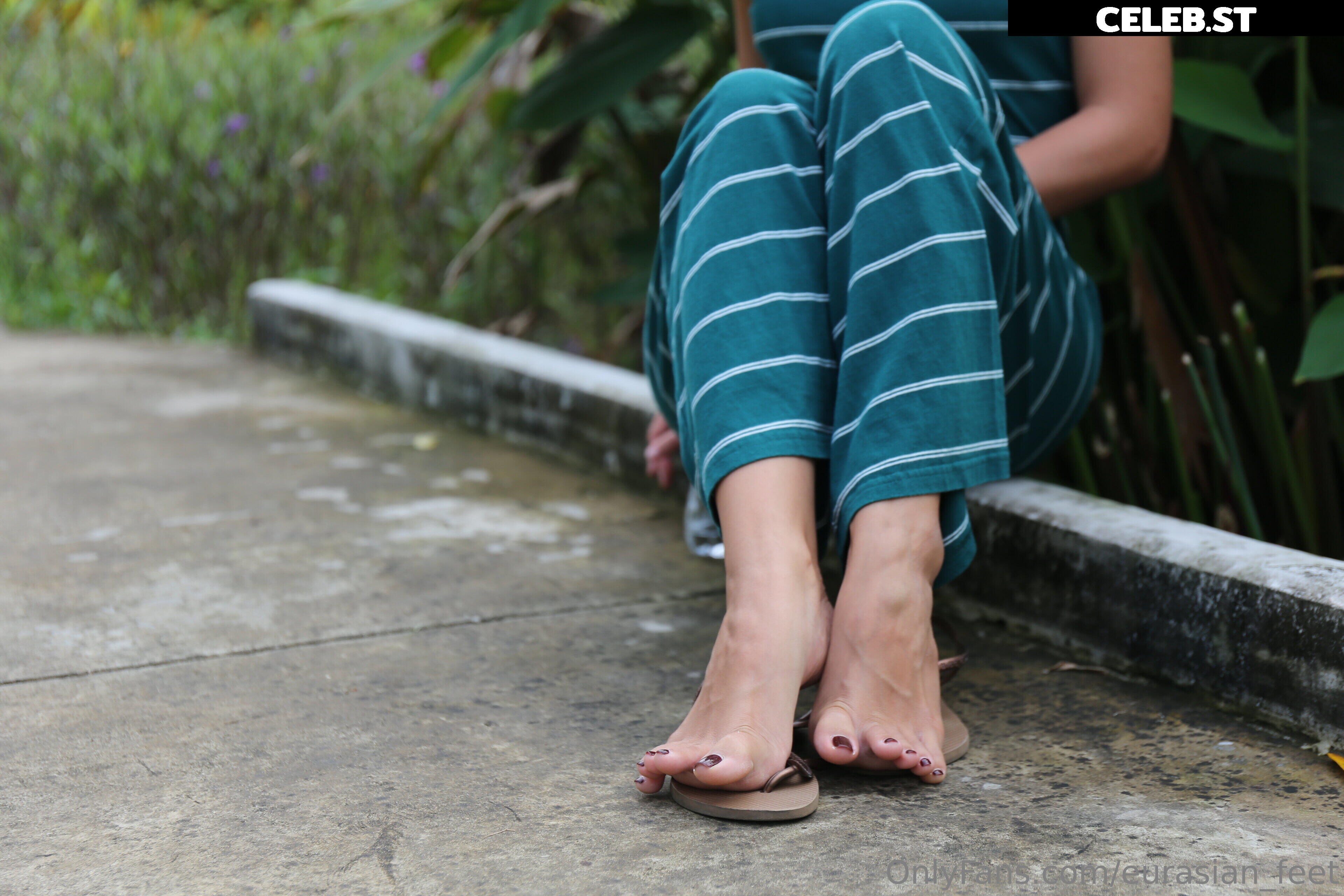 eurasian_feet Image 18057126