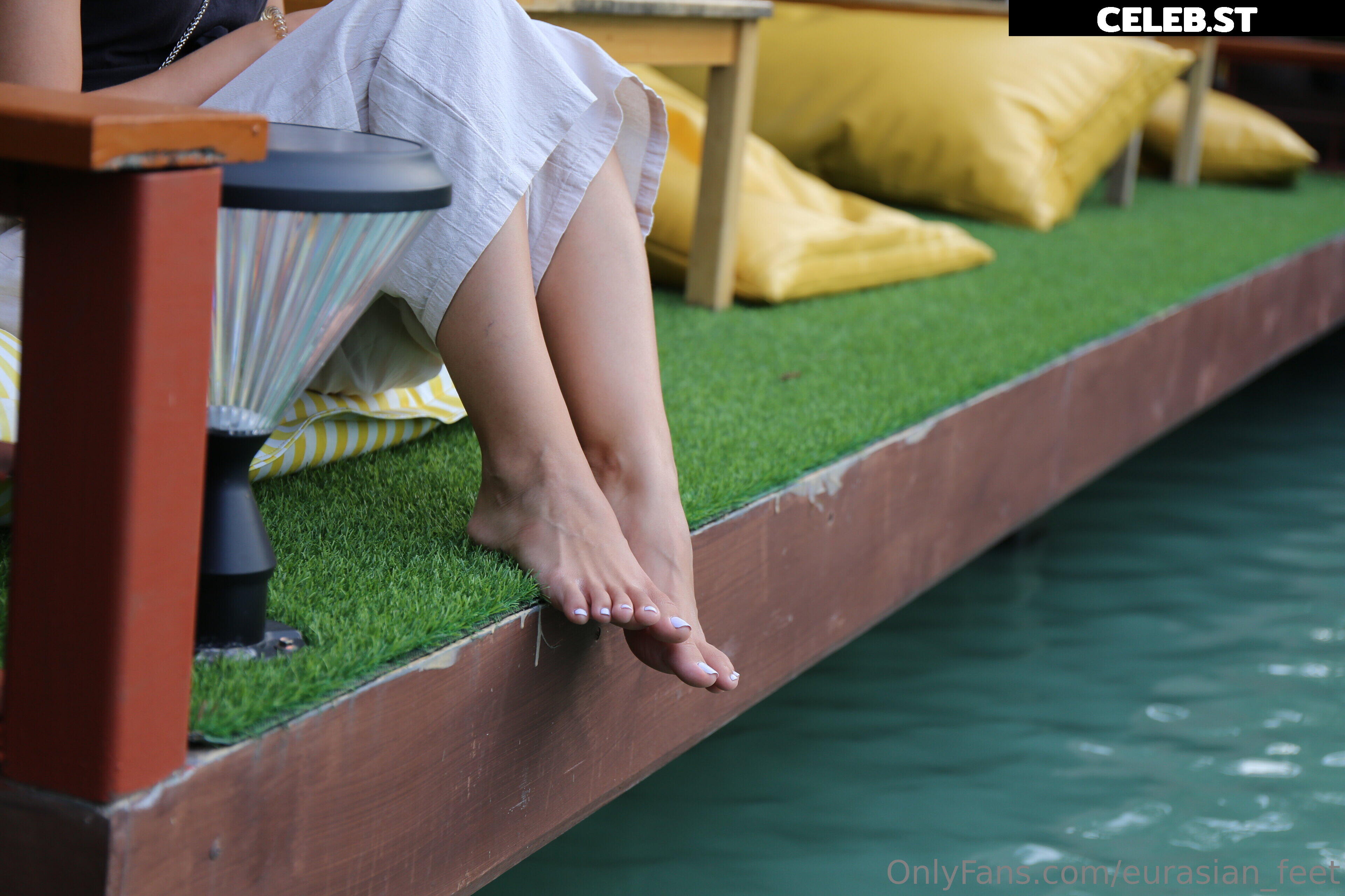 eurasian_feet Image 18057029