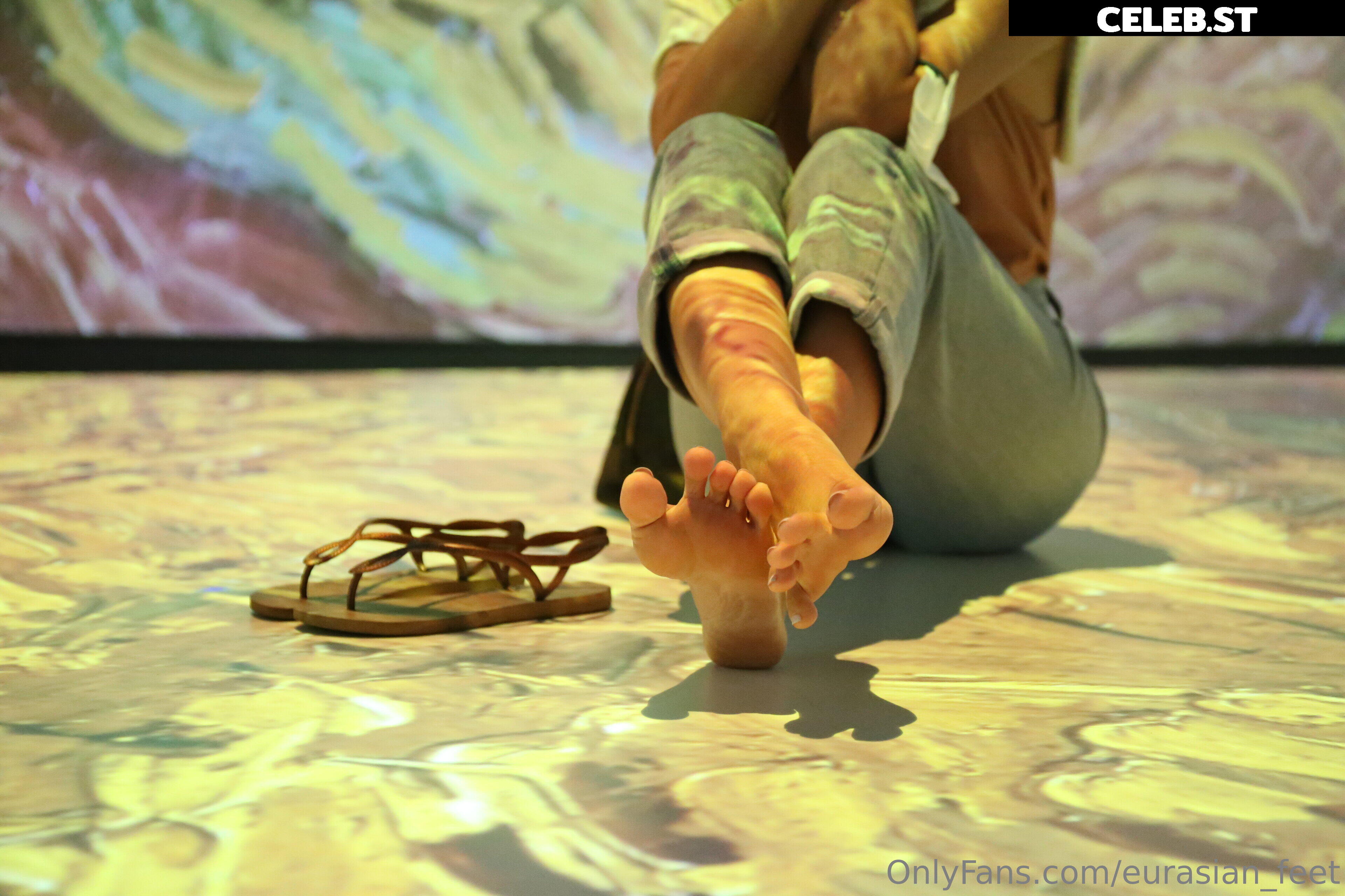 eurasian_feet Image 18057028