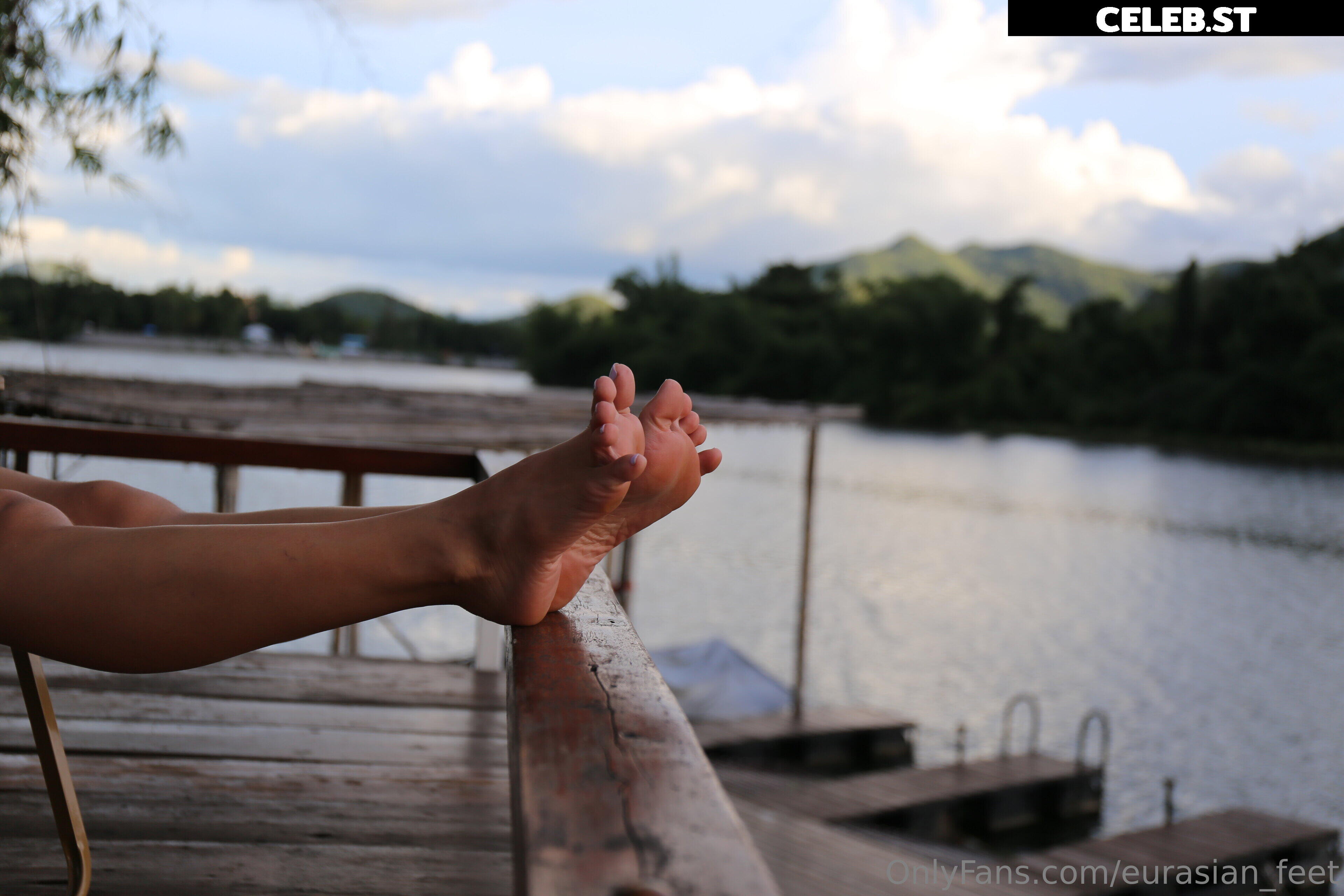 eurasian_feet Image 18057061