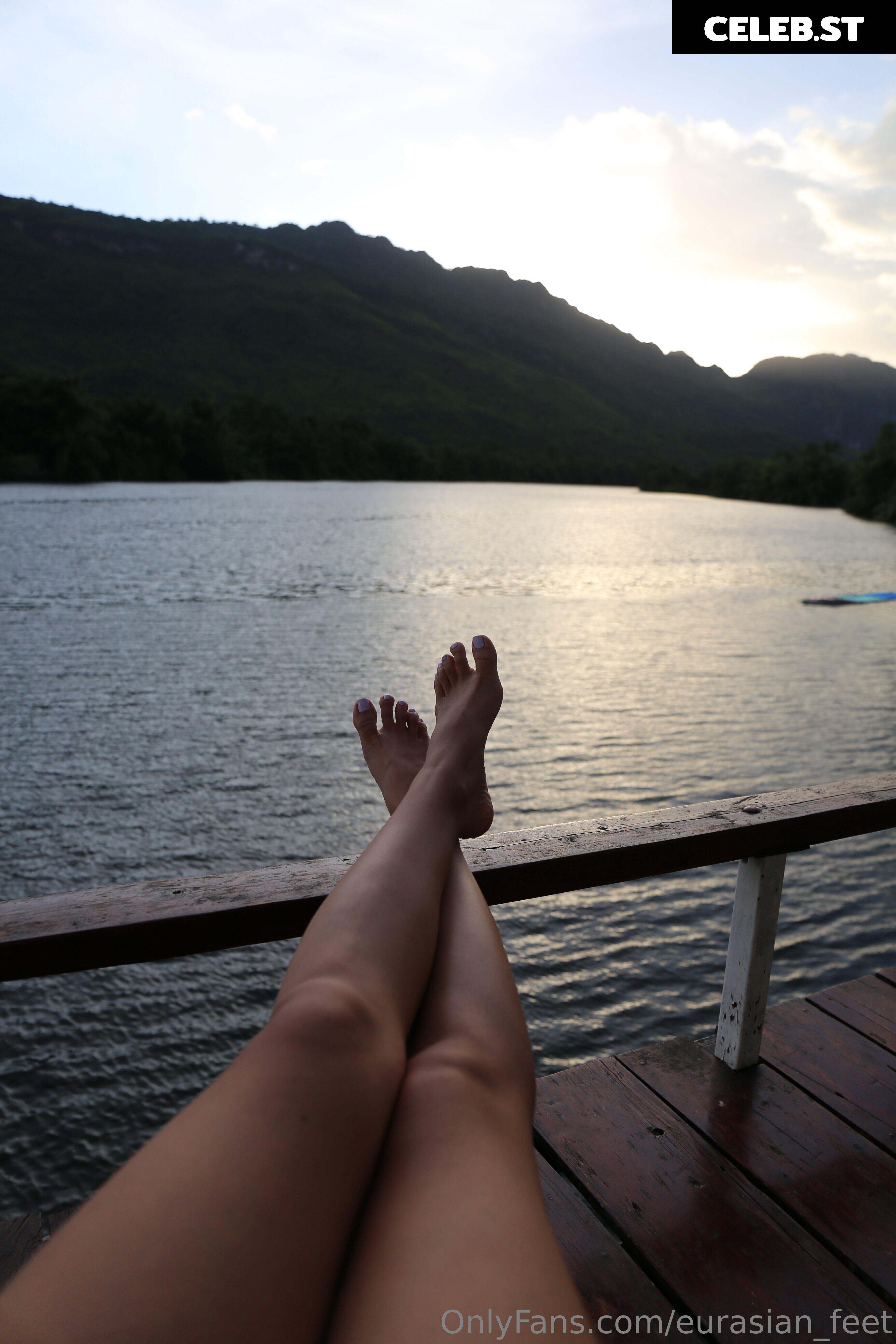 eurasian_feet Image 18057047