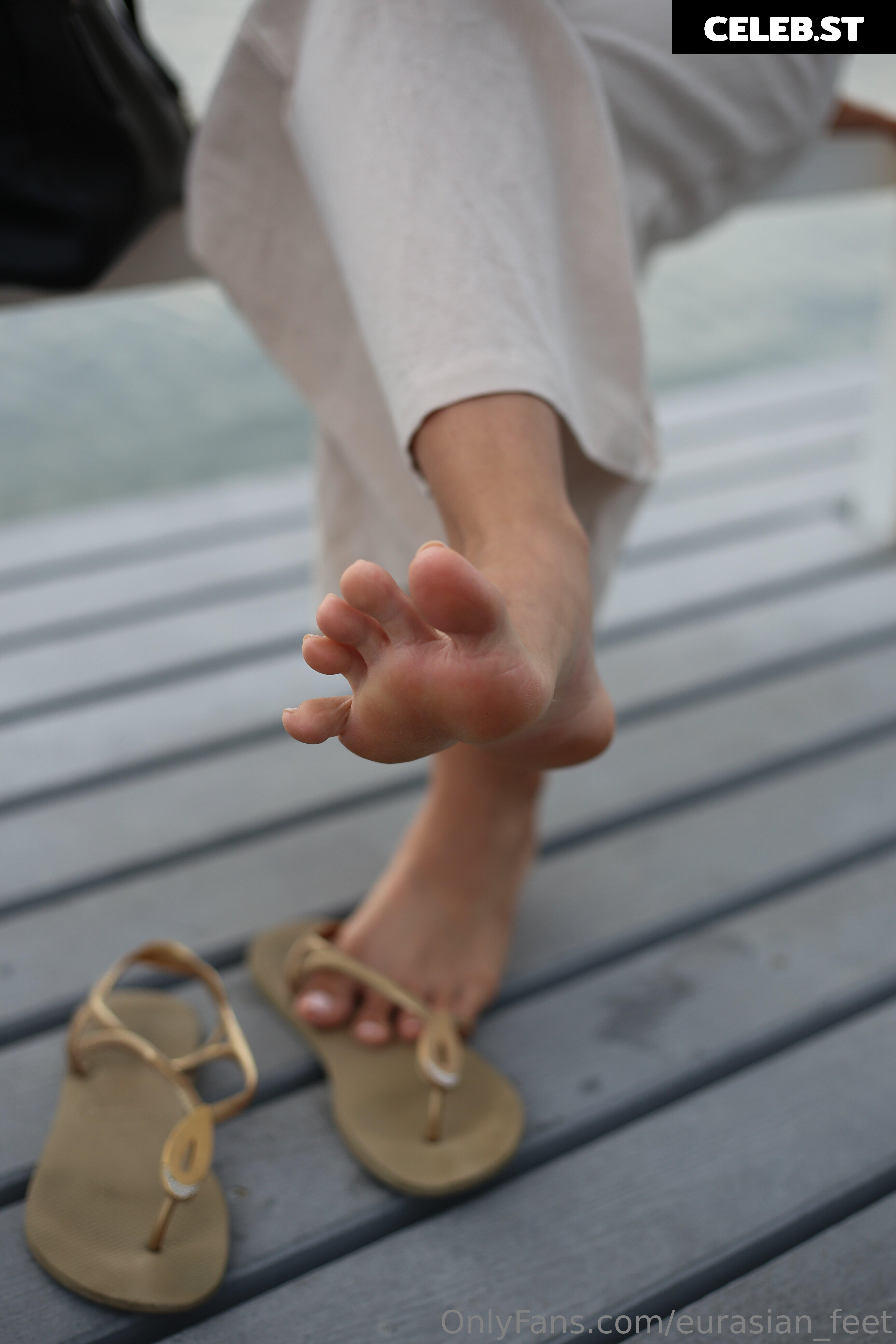 eurasian_feet Image 18057320