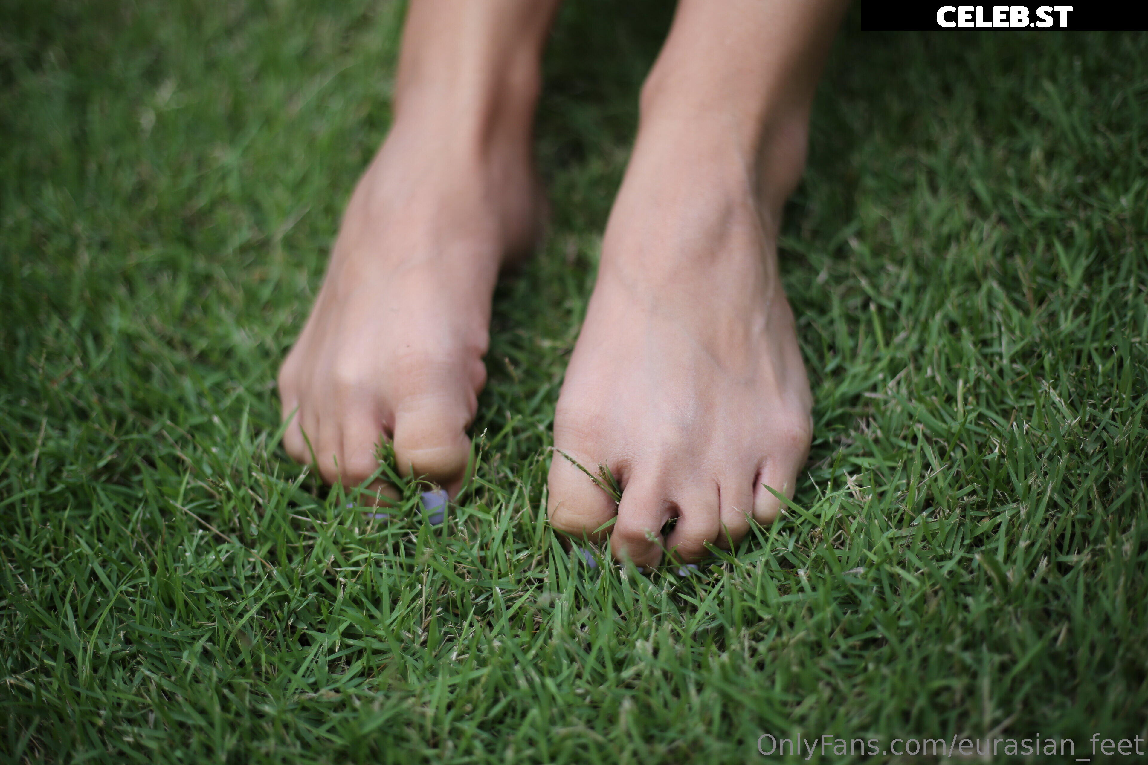eurasian_feet Image 18057287