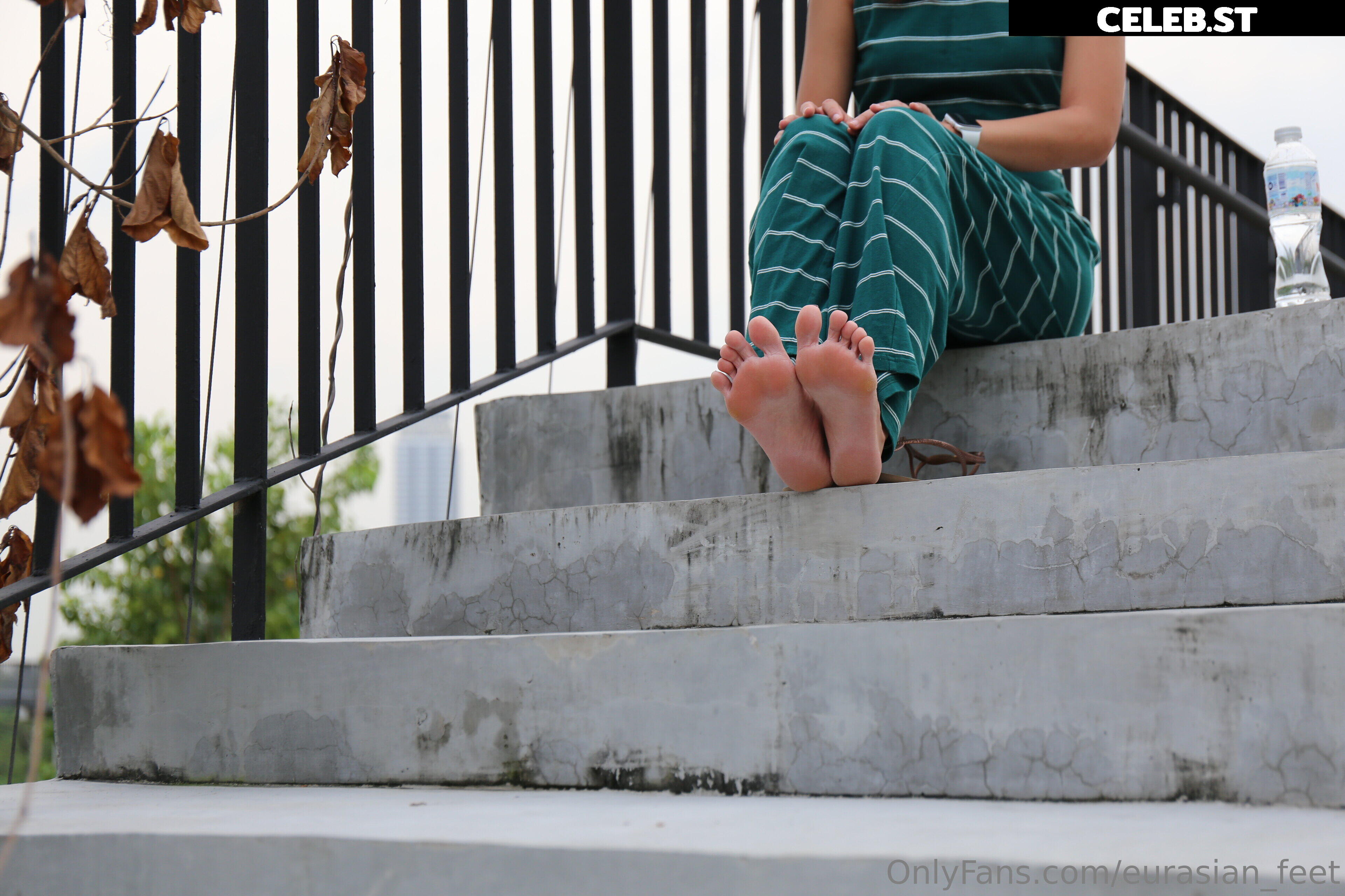 eurasian_feet Image 18057243