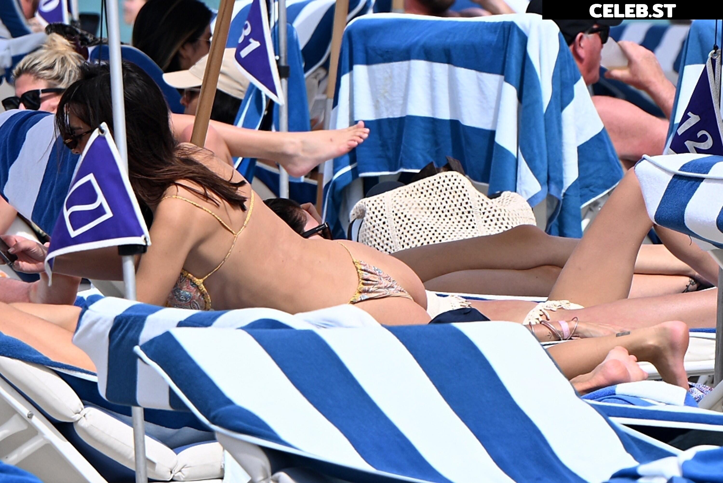 Emily Ratajkowski Image 1805167