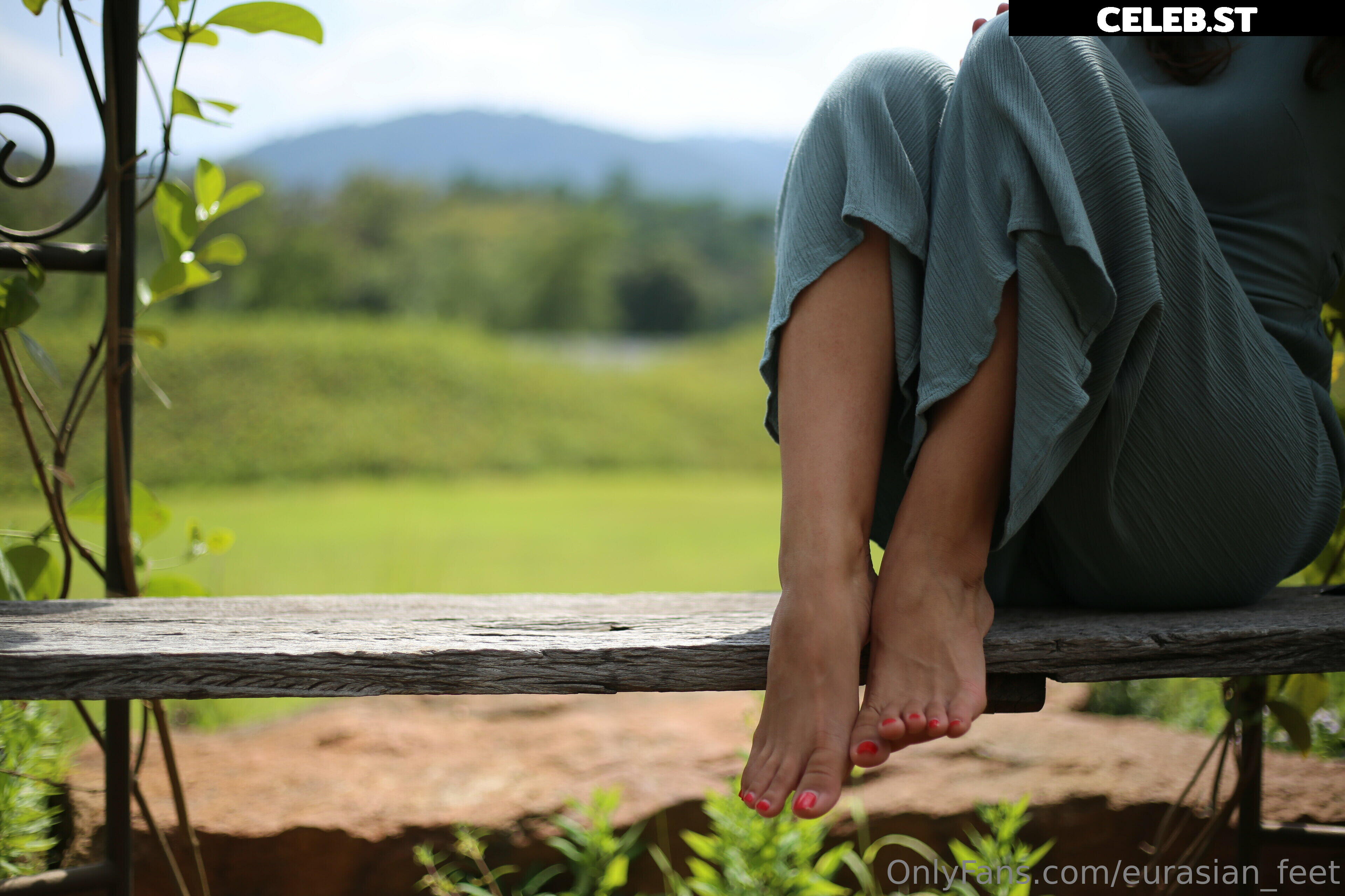 eurasian_feet Image 18053994