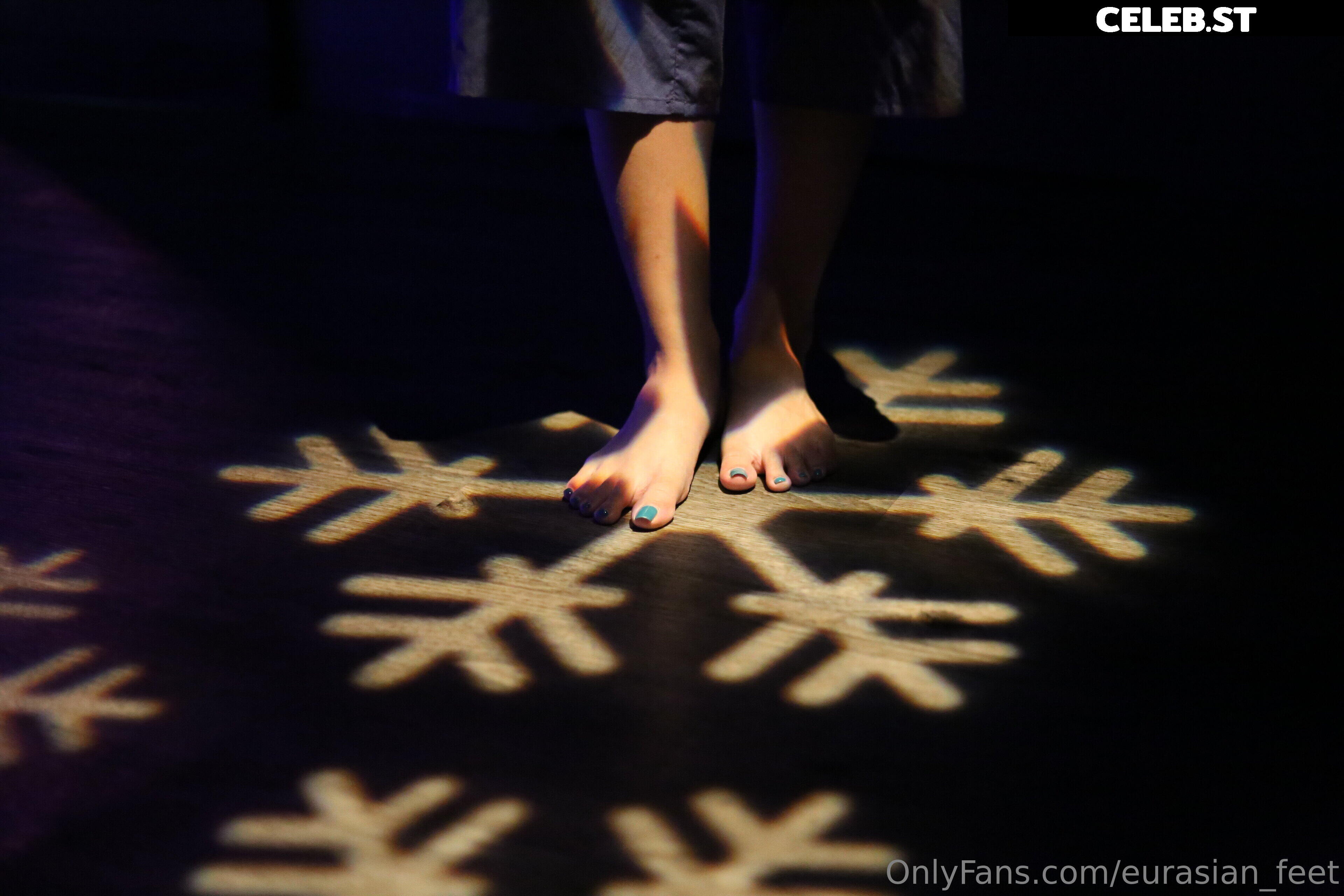 eurasian_feet Image 18053978