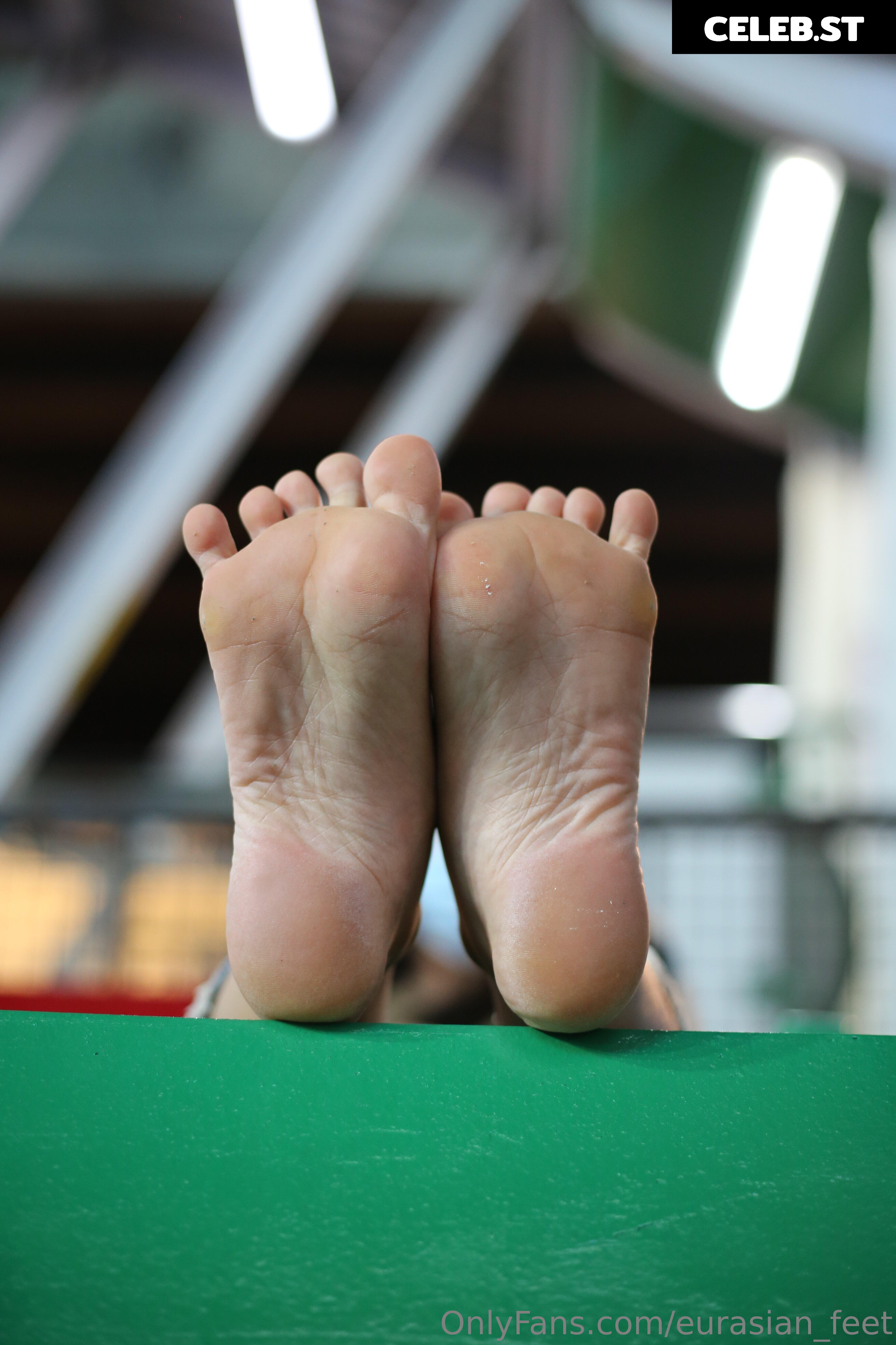 eurasian_feet Image 18053114