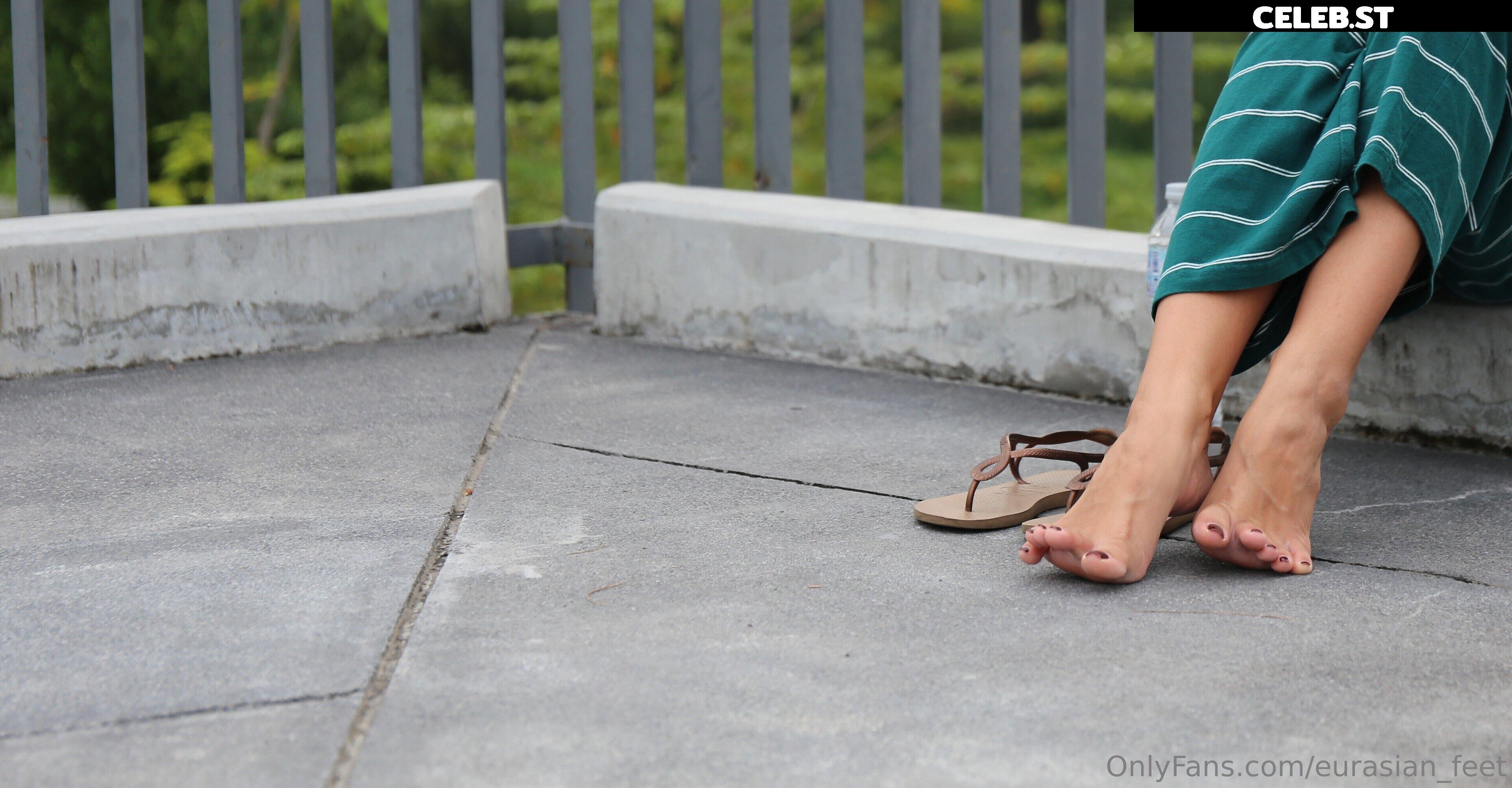 eurasian_feet Image 18052613