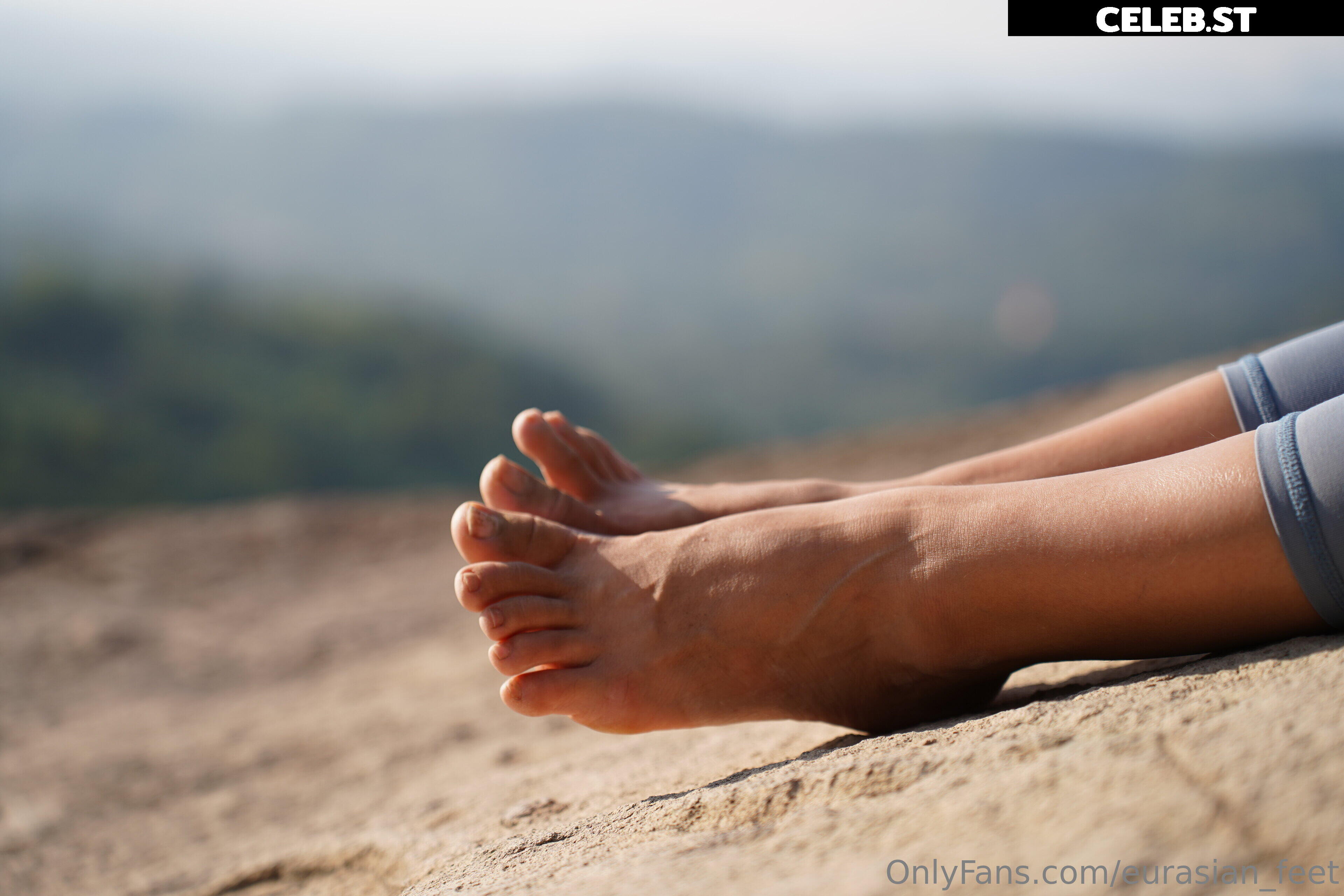 eurasian_feet Image 18052646