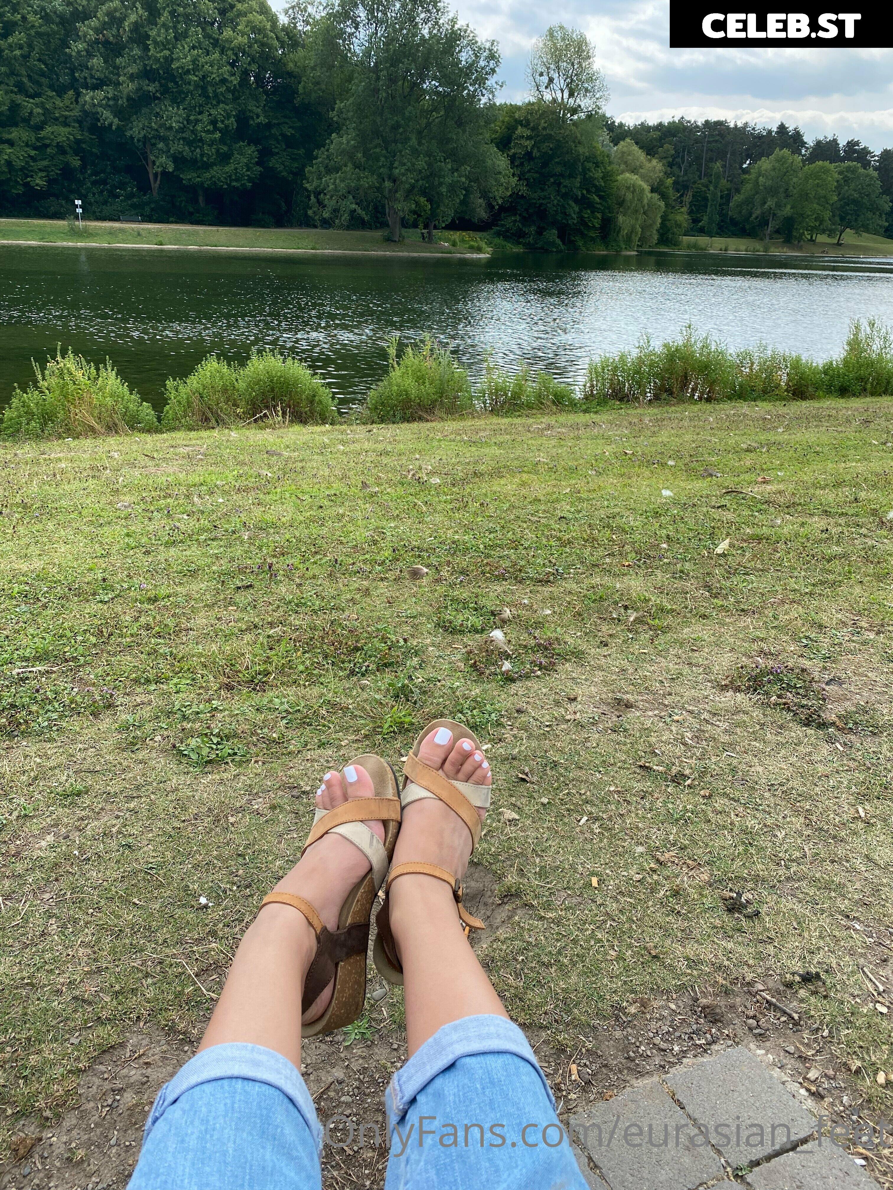 eurasian_feet Image 18068863