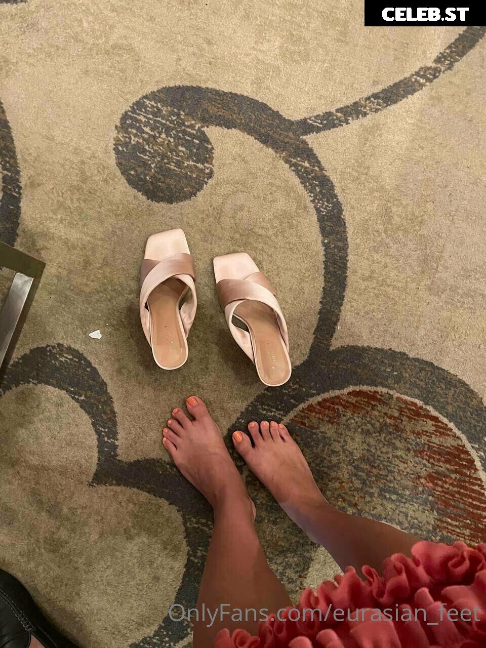 eurasian_feet Image 18068847