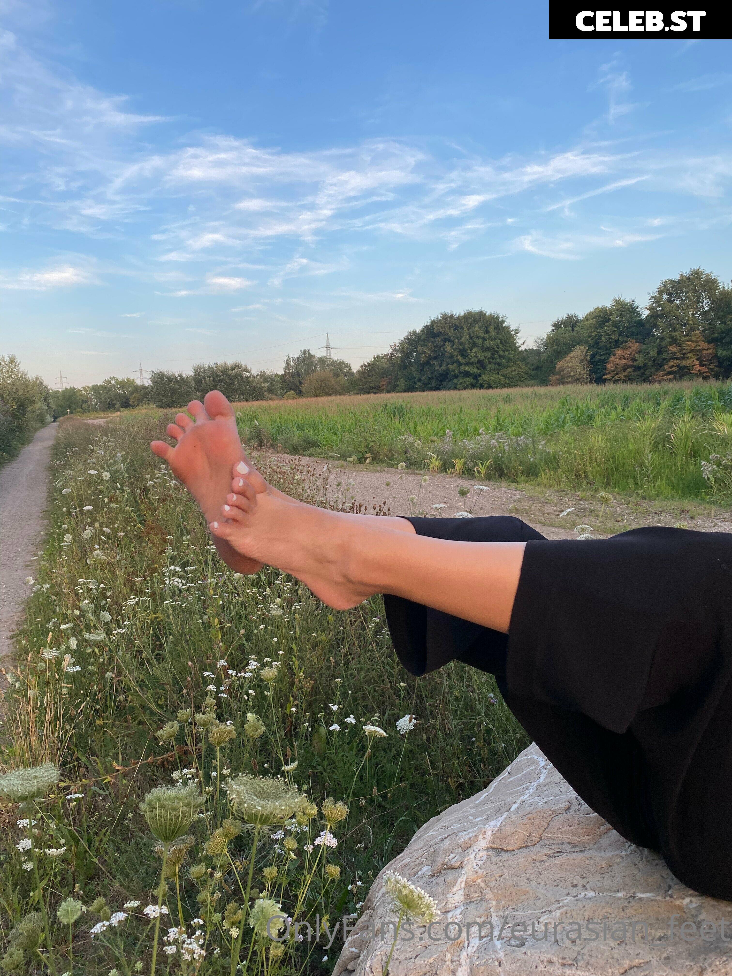 eurasian_feet Image 18068795