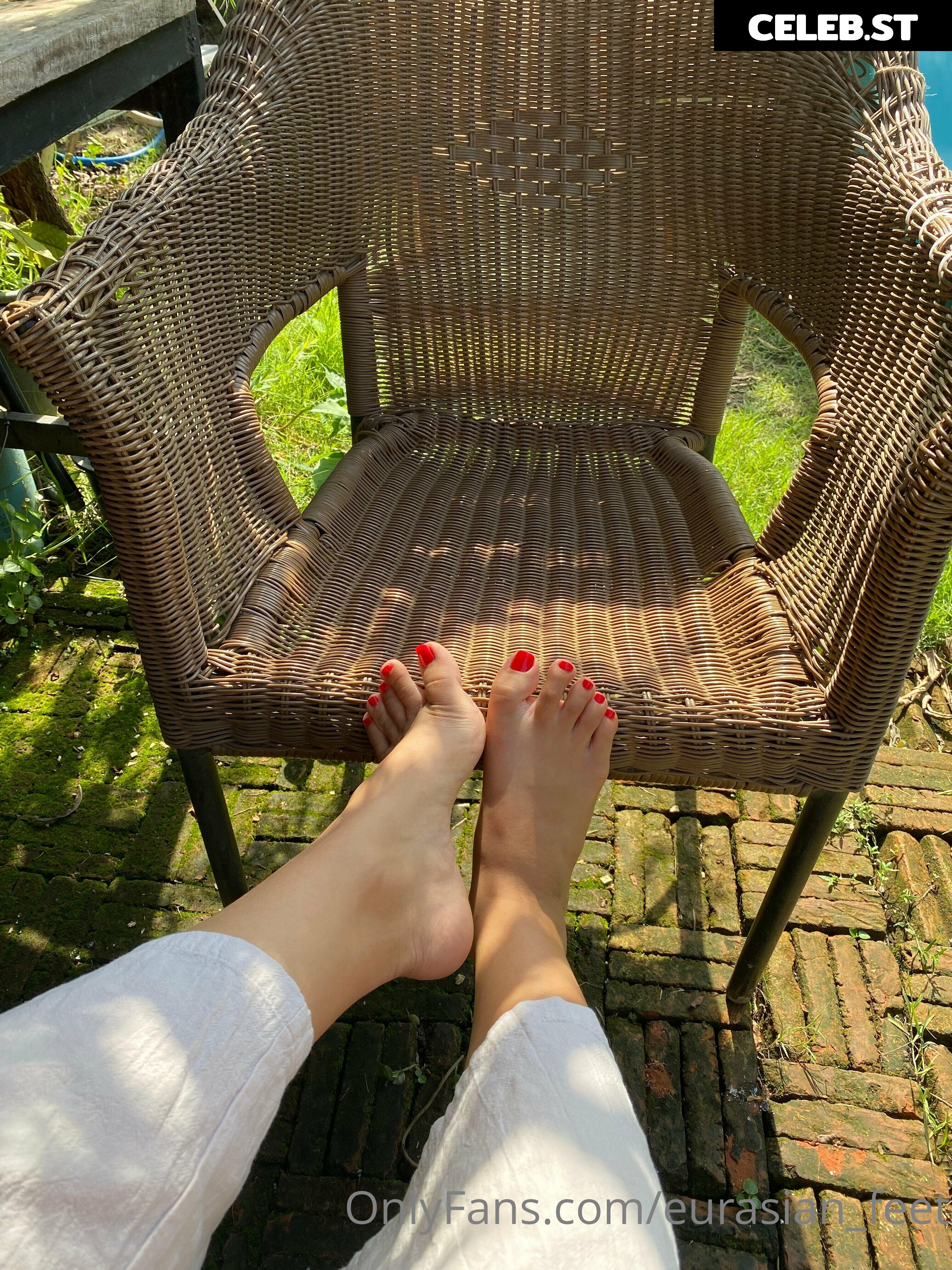 eurasian_feet Image 18068706