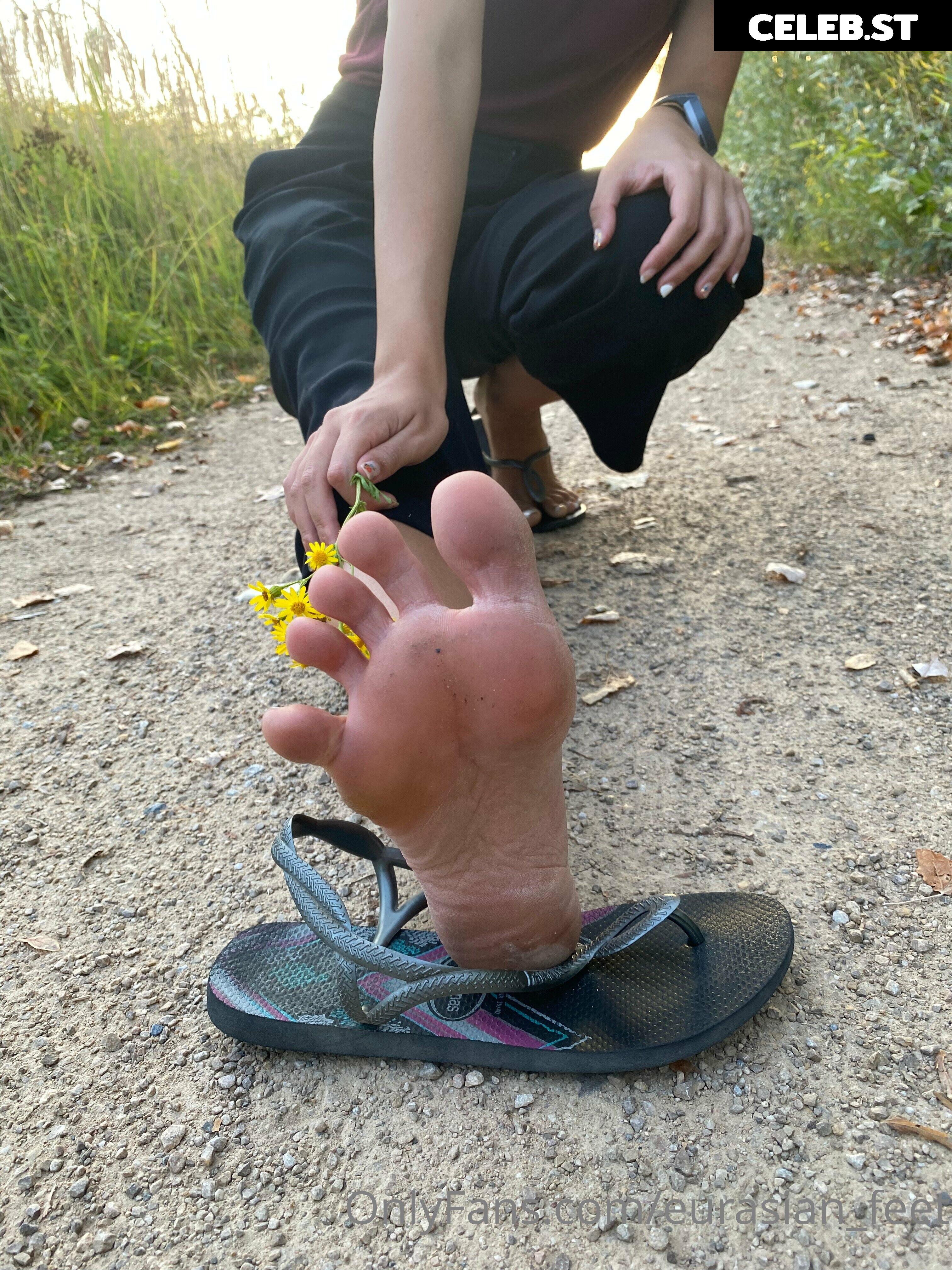 eurasian_feet Image 18068776