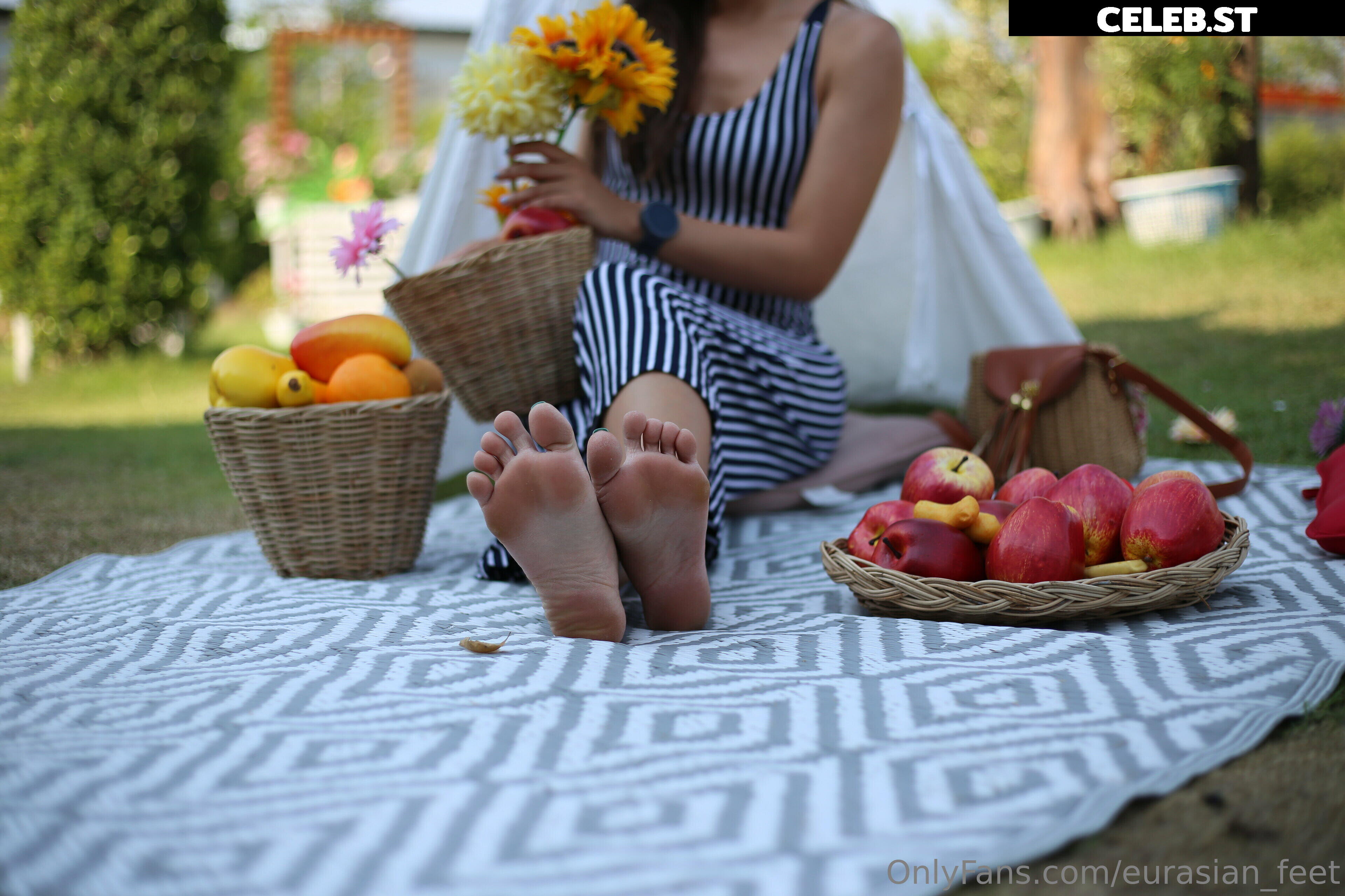 eurasian_feet Image 18068113