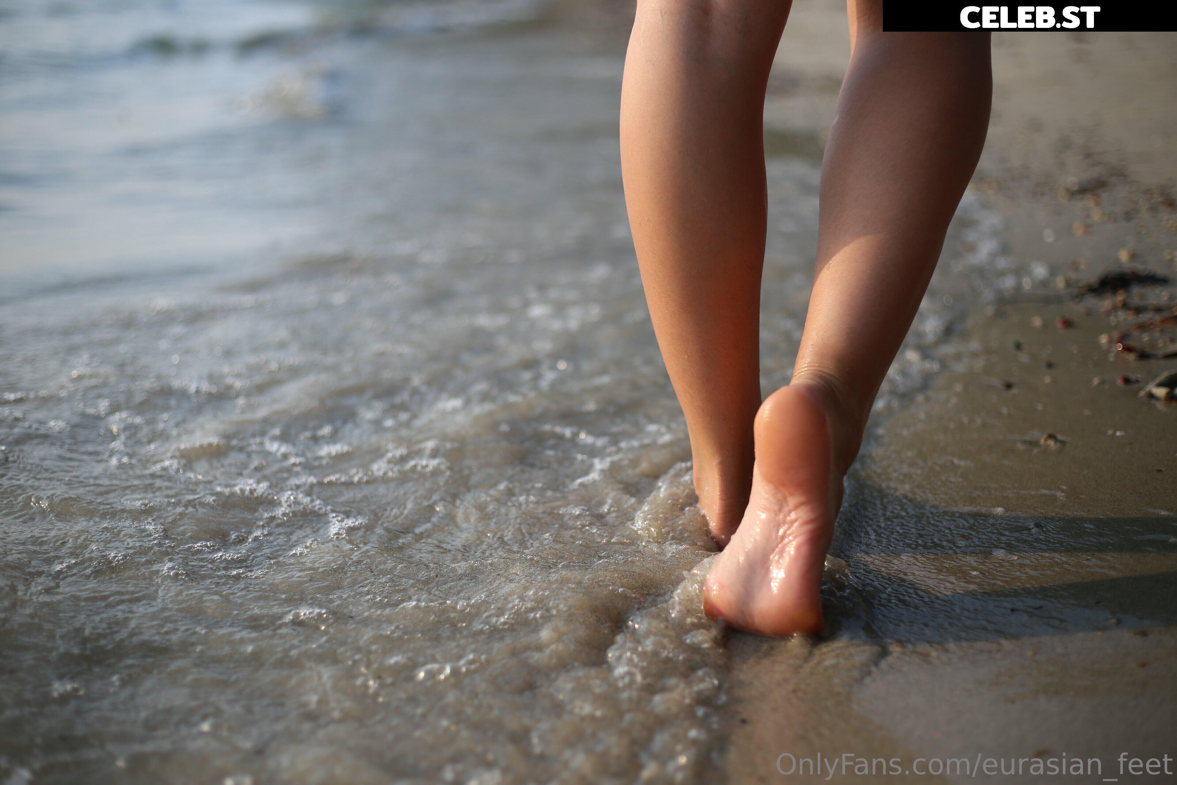eurasian_feet Image 18068031