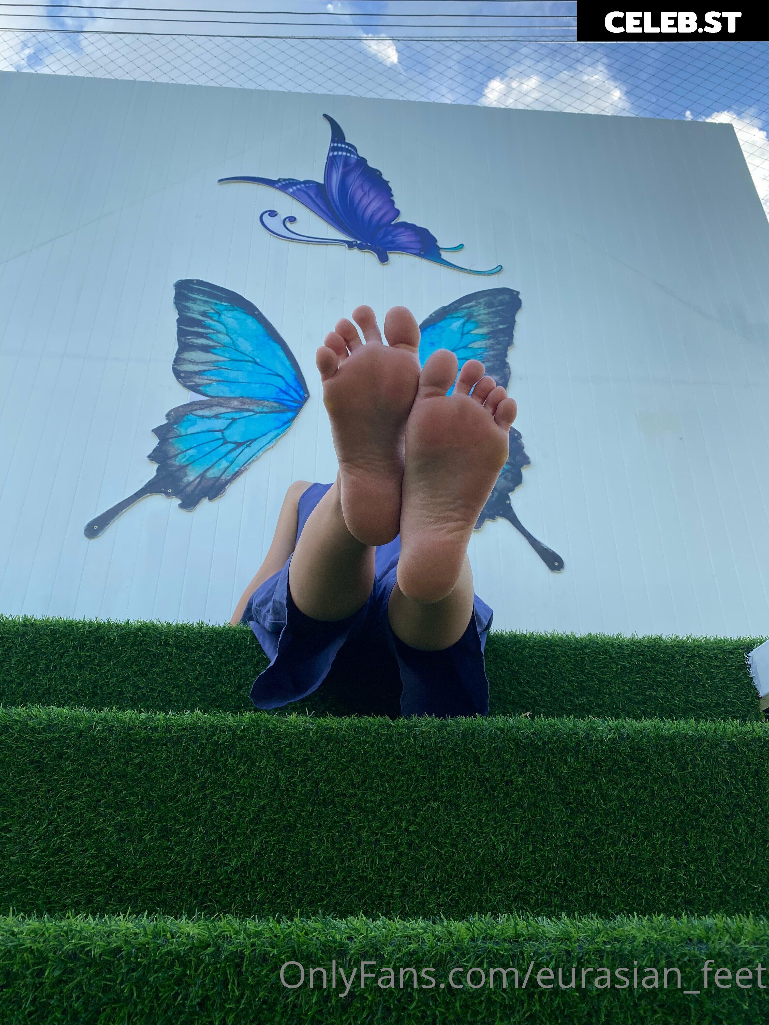 eurasian_feet Image 18068239
