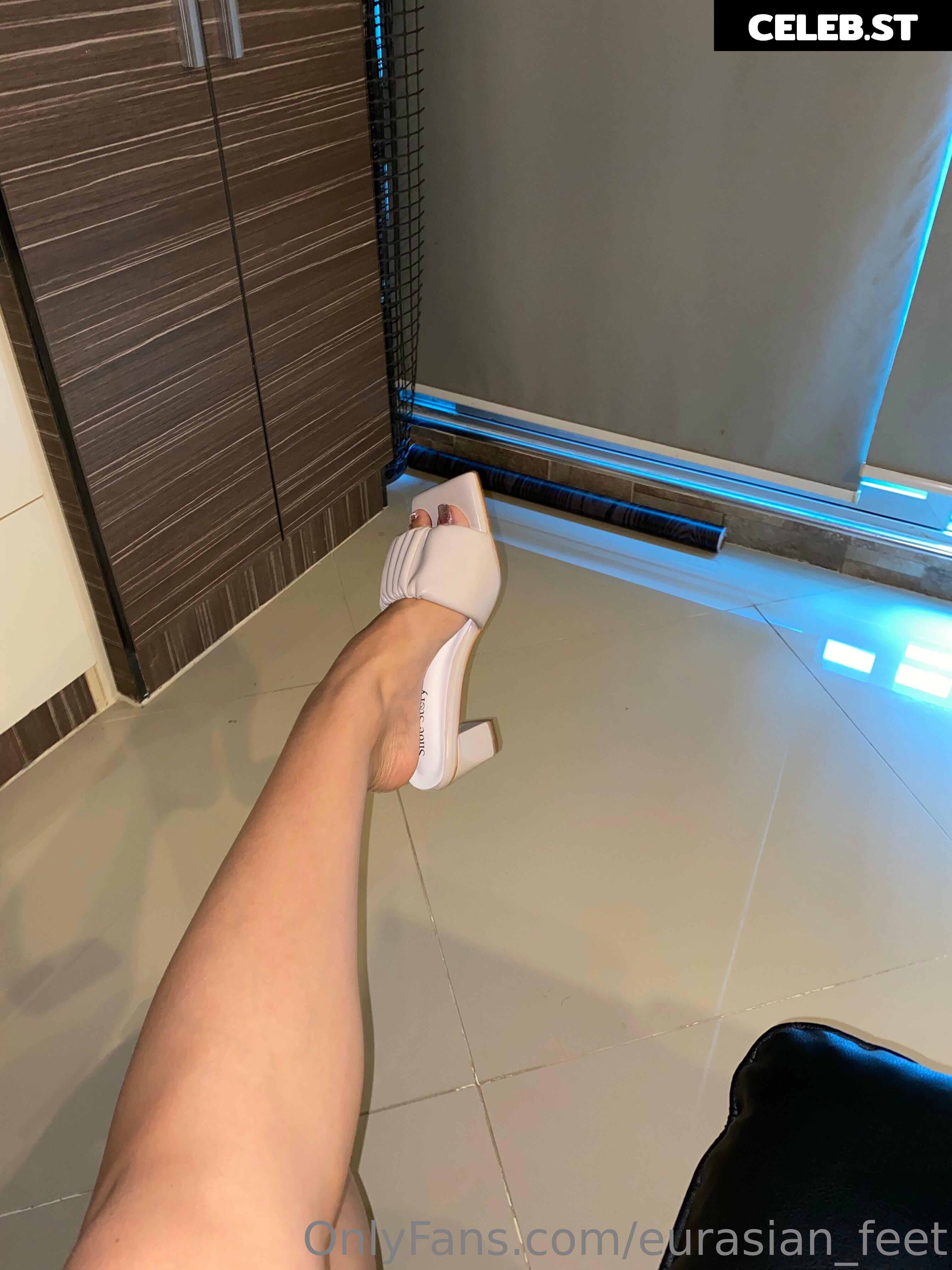 eurasian_feet Image 18065805