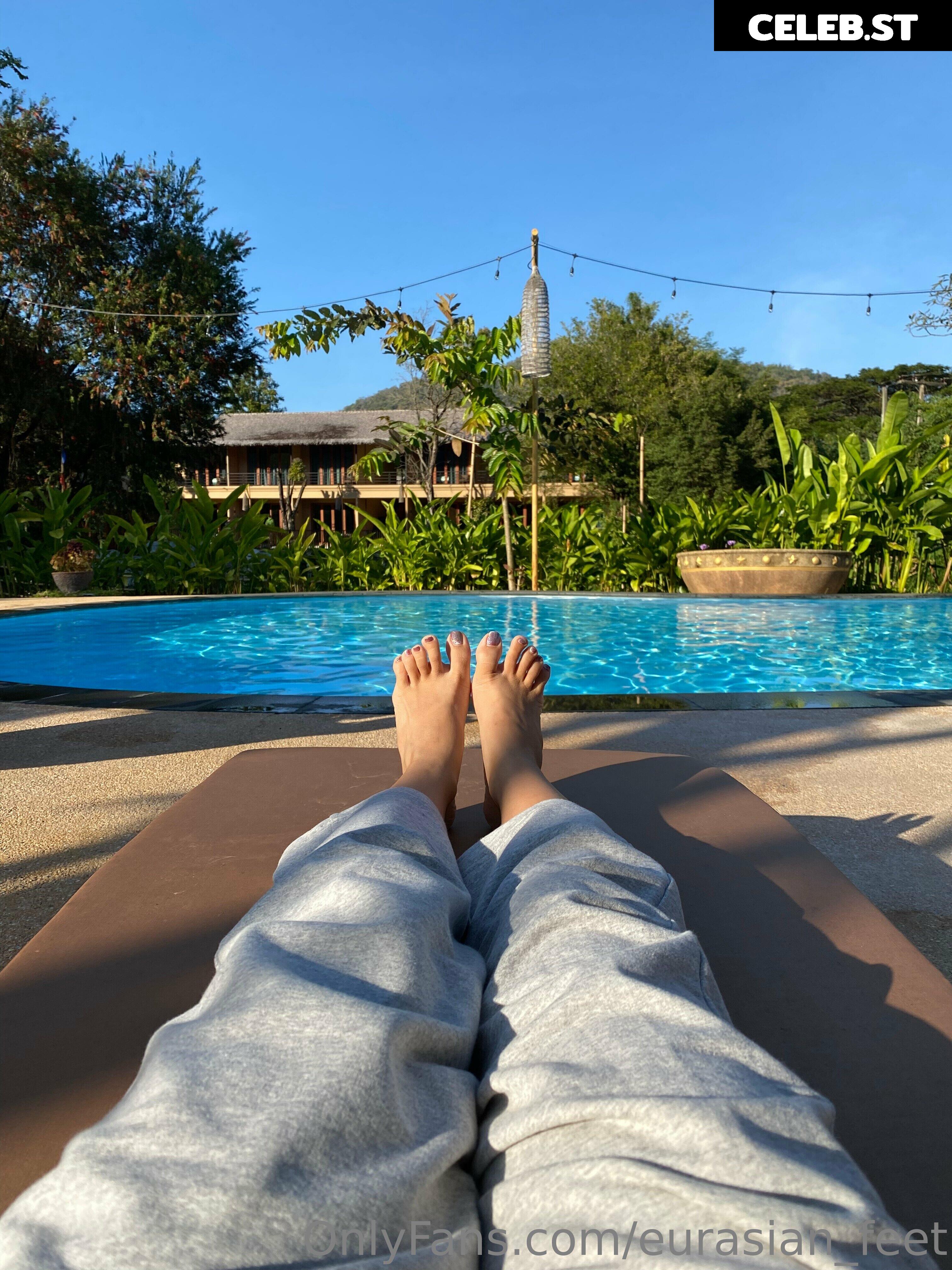 eurasian_feet Image 18065877