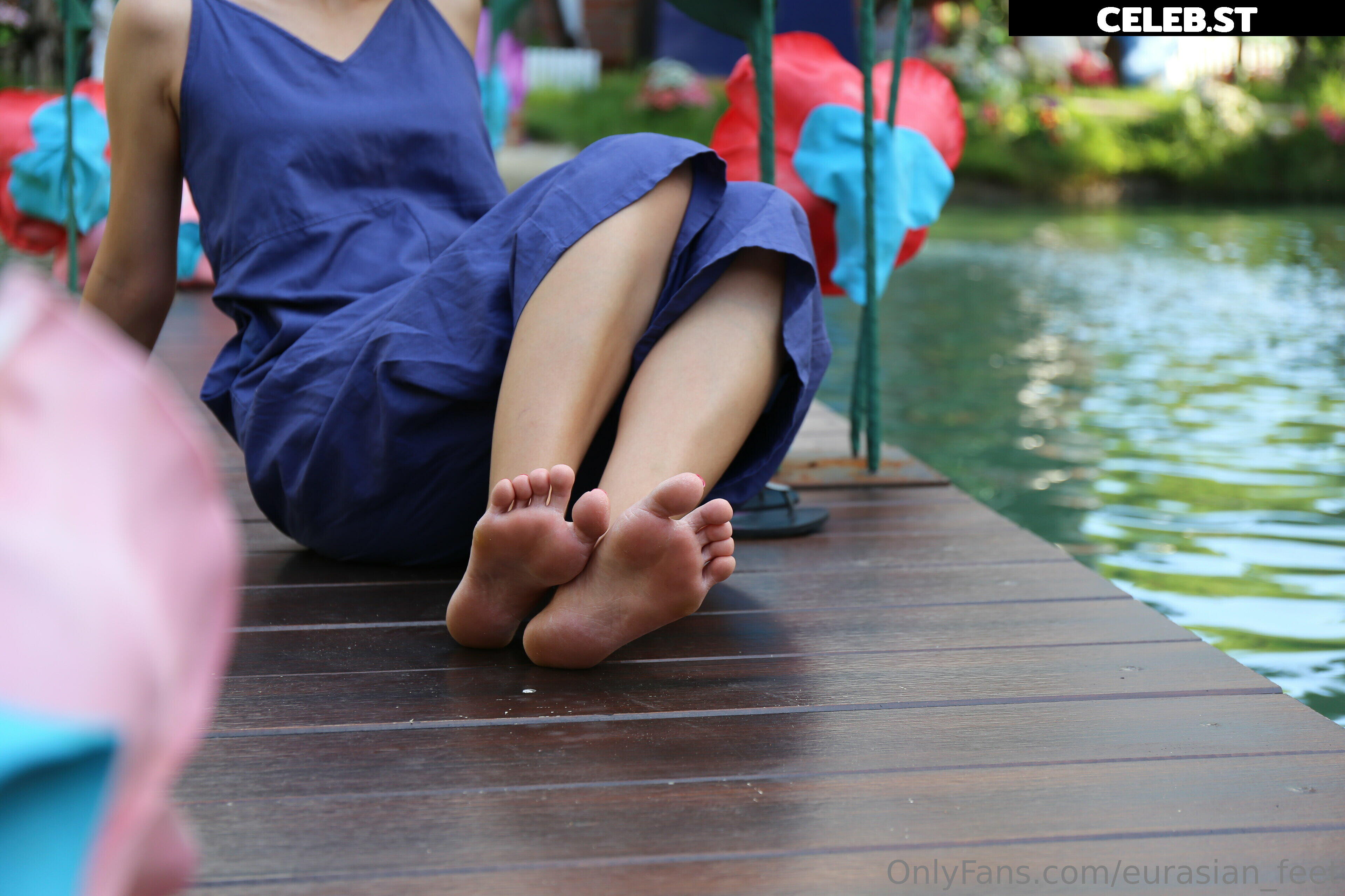 eurasian_feet Image 18065791