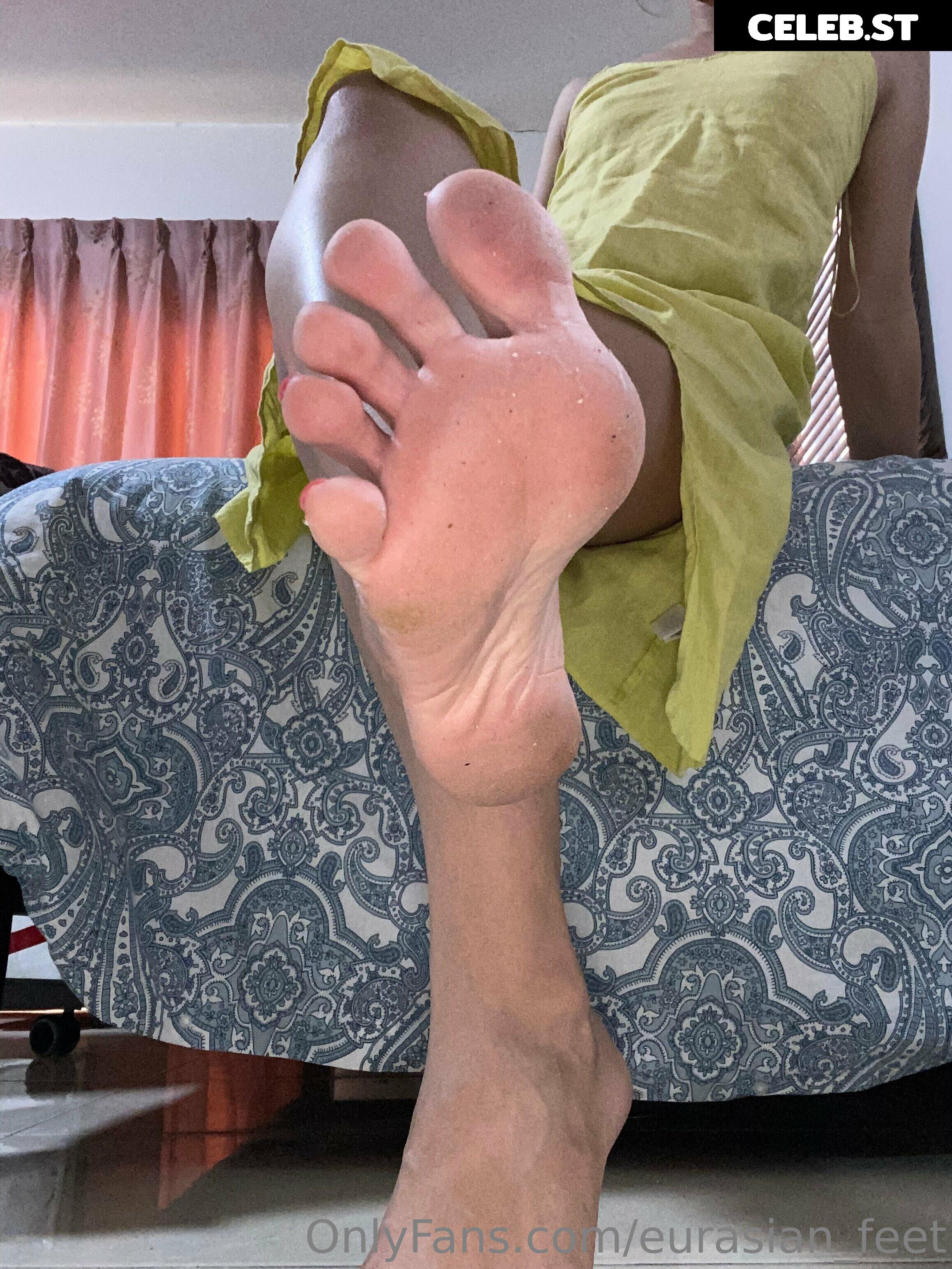 eurasian_feet Image 18065127