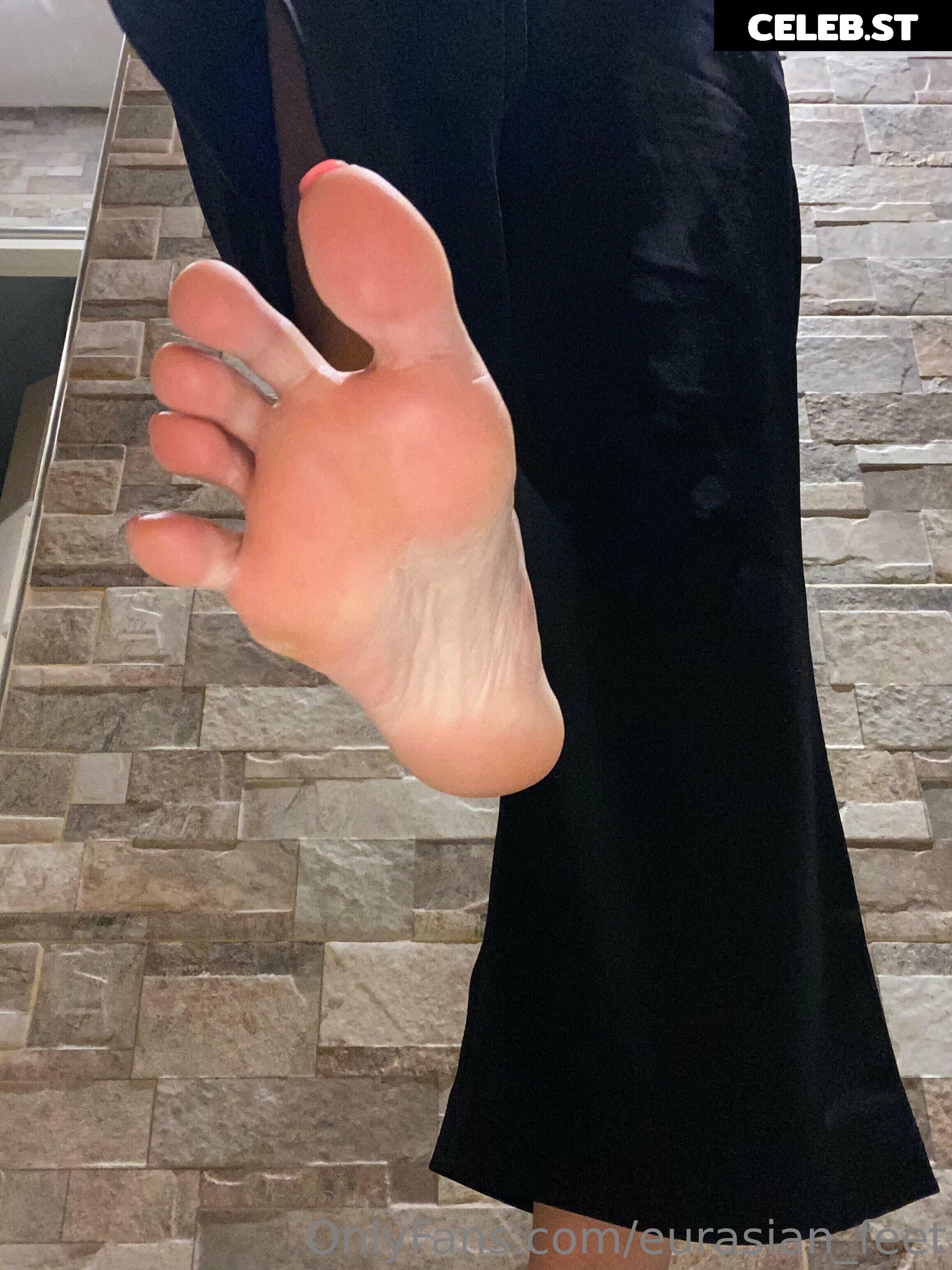 eurasian_feet Image 18065321