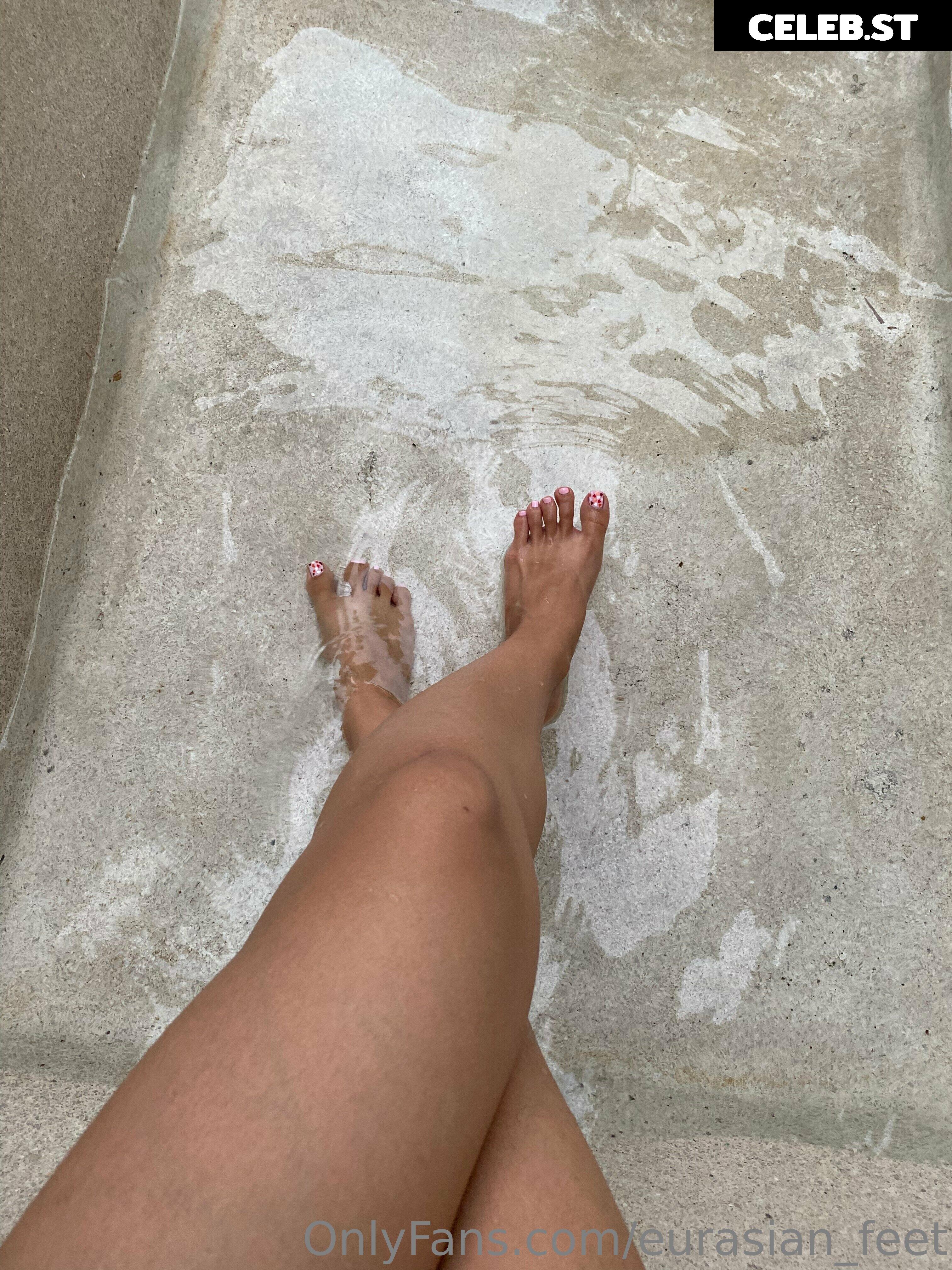 eurasian_feet Image 18065302