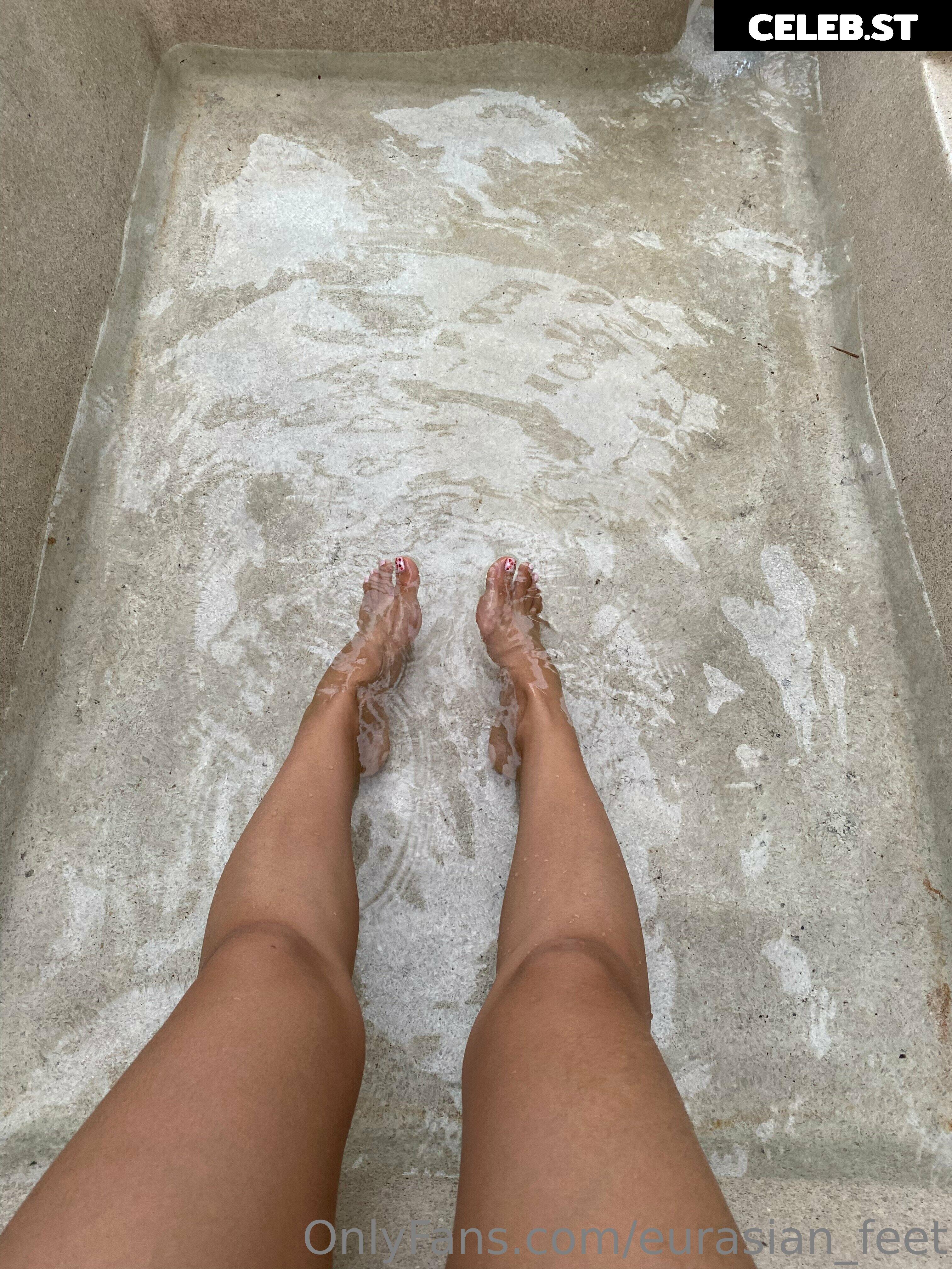eurasian_feet Image 18065356