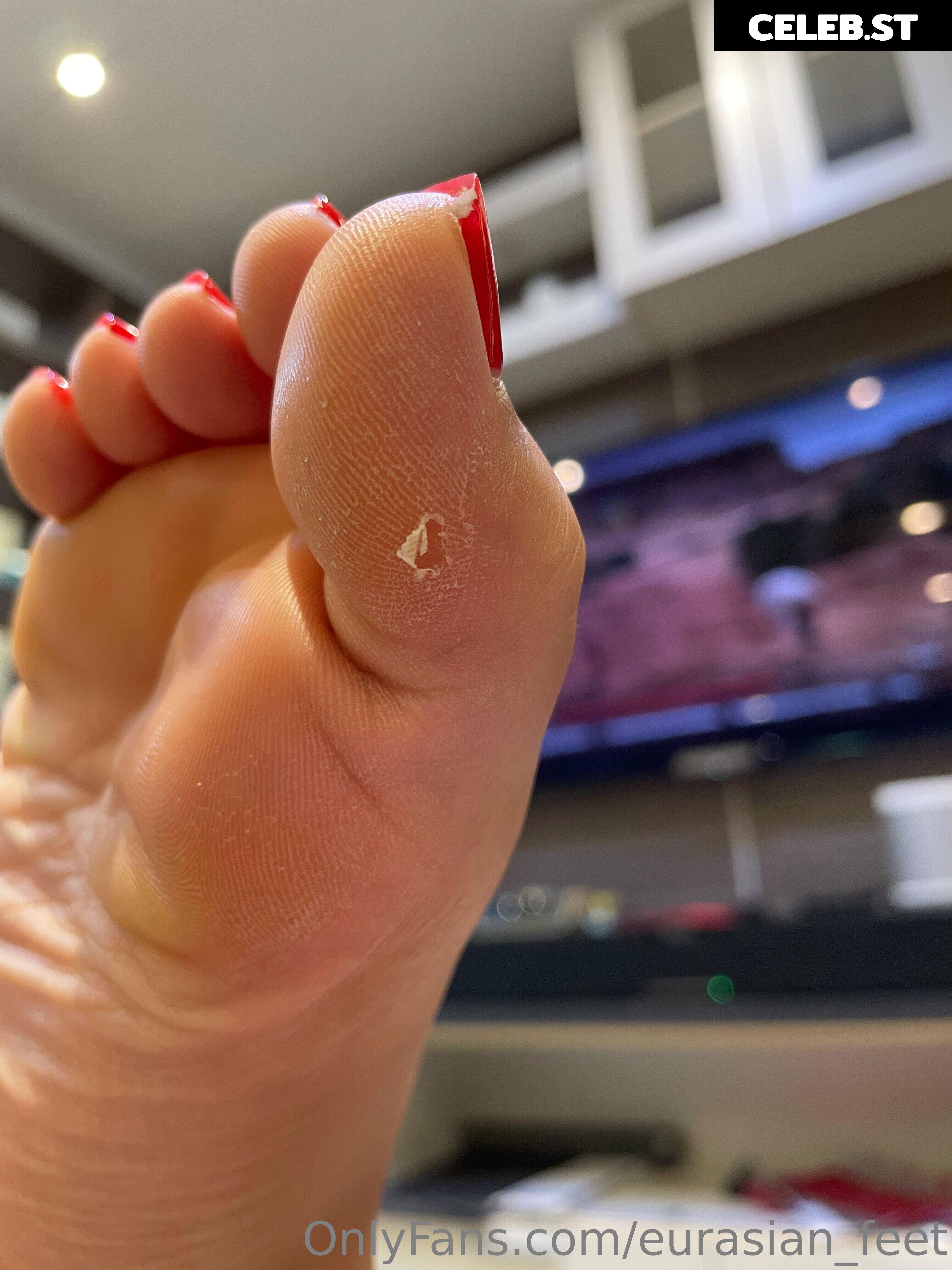 eurasian_feet Image 18065240