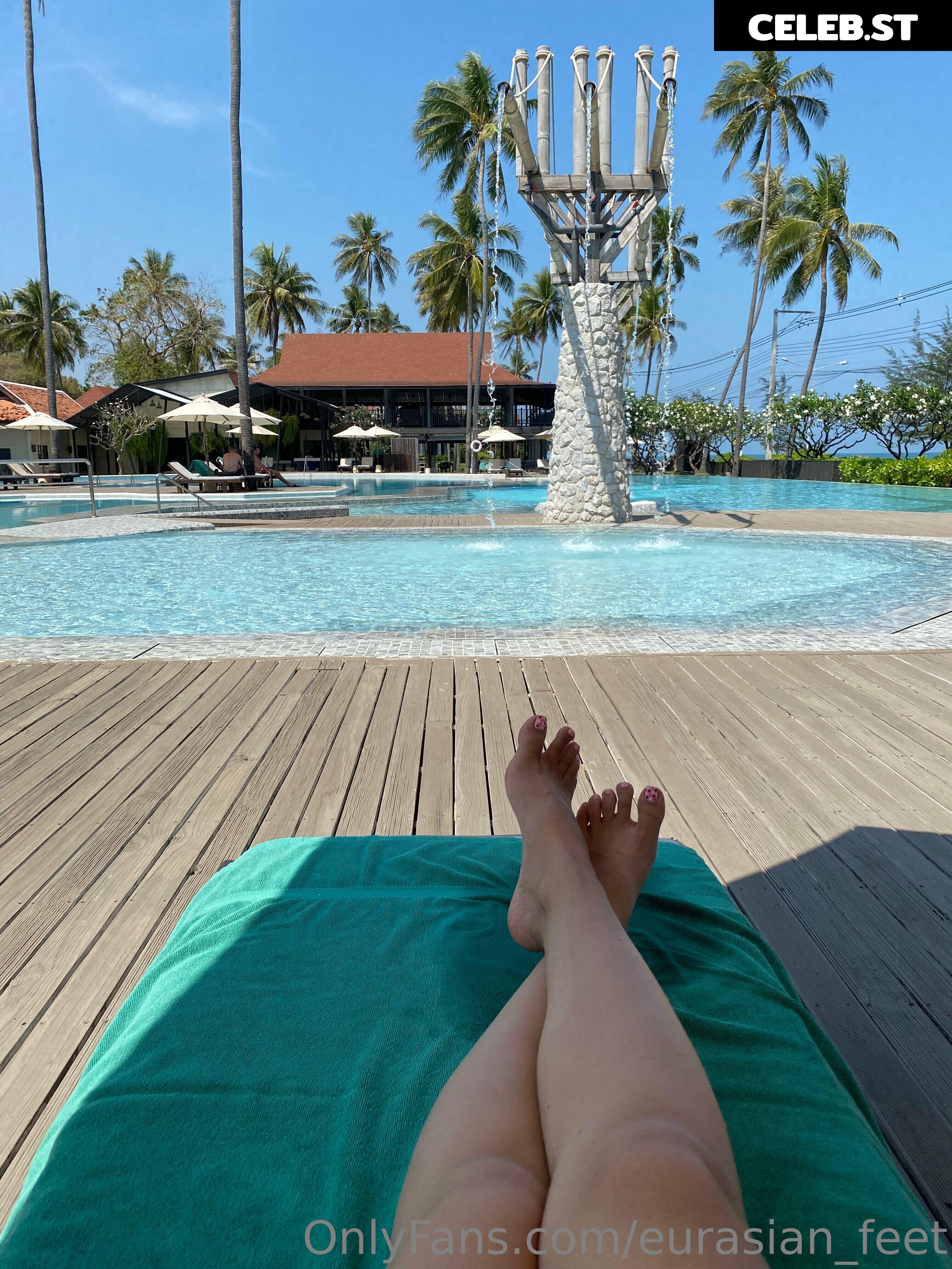 eurasian_feet Image 18064503