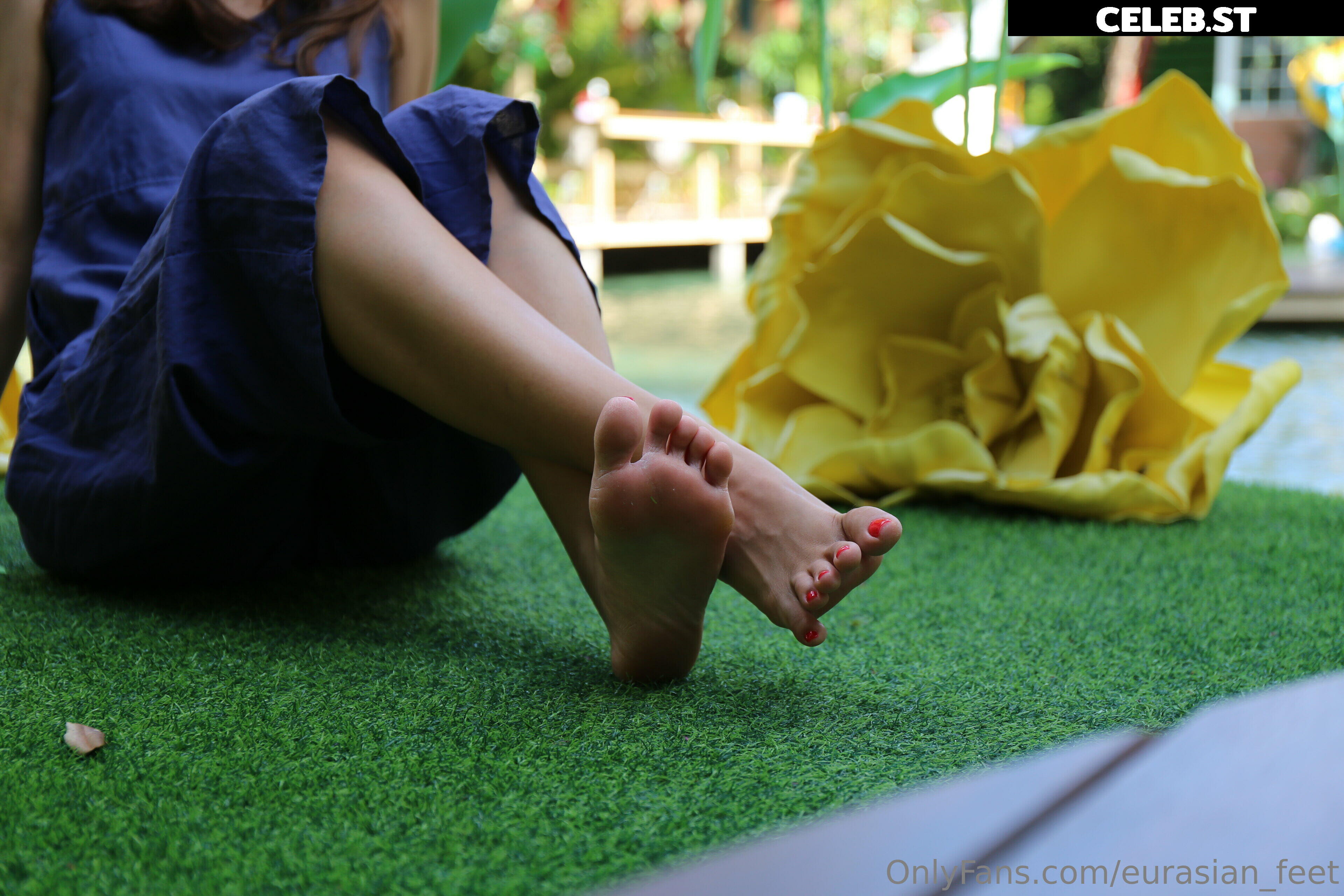 eurasian_feet Image 18064530