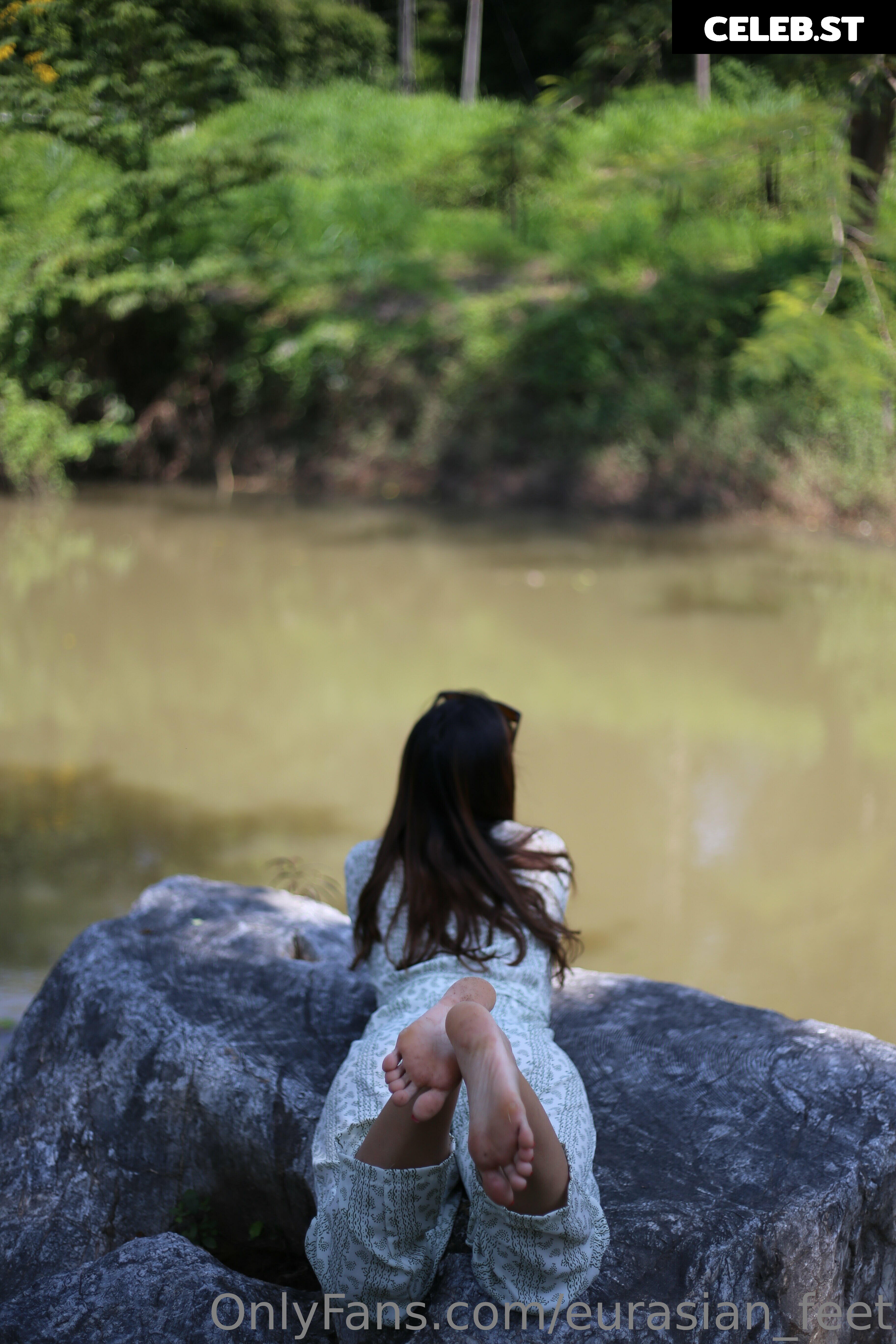 eurasian_feet Image 18064427