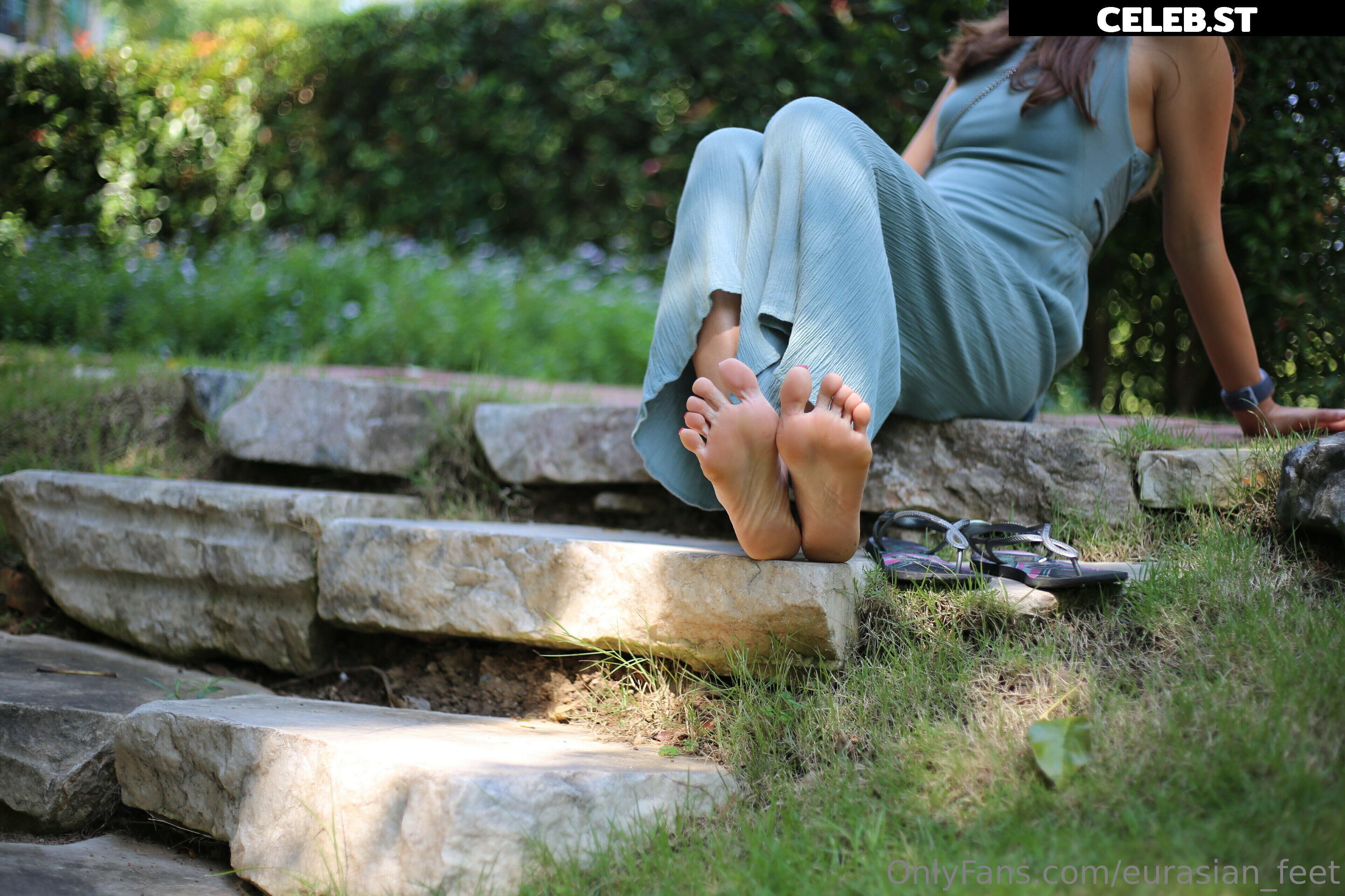 eurasian_feet Image 18064414