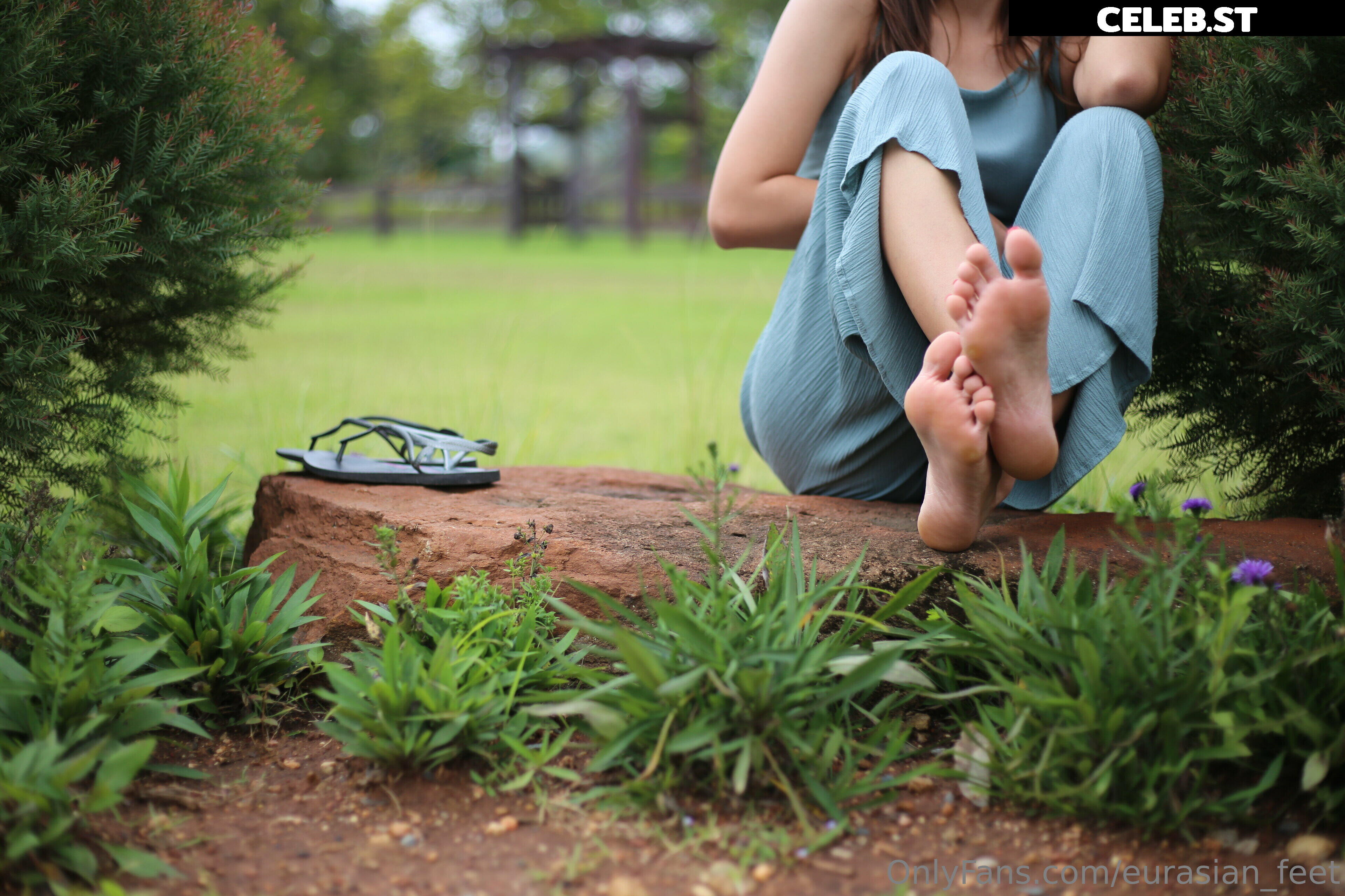 eurasian_feet Image 18064400