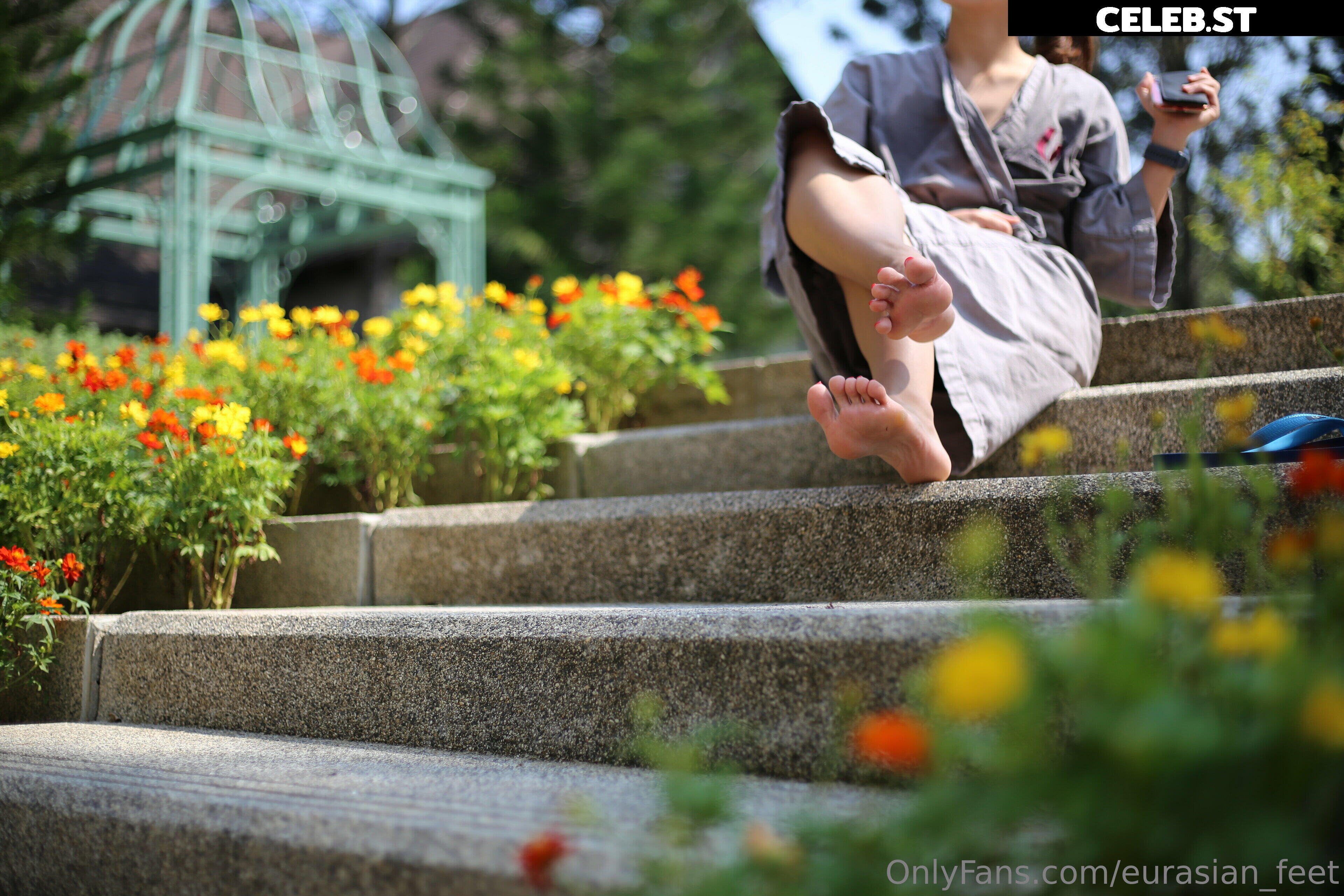 eurasian_feet Image 18064407