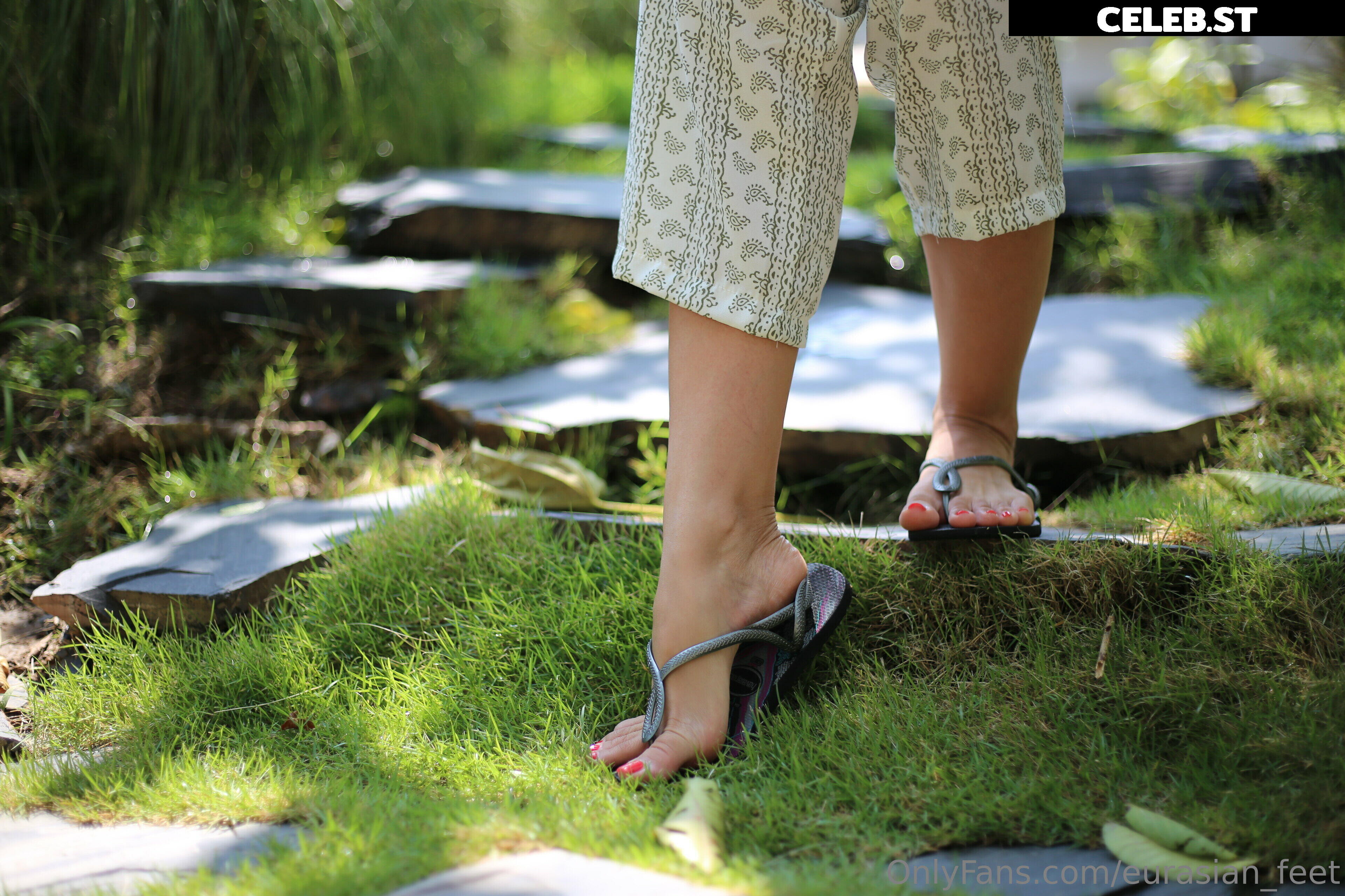 eurasian_feet Image 18064456