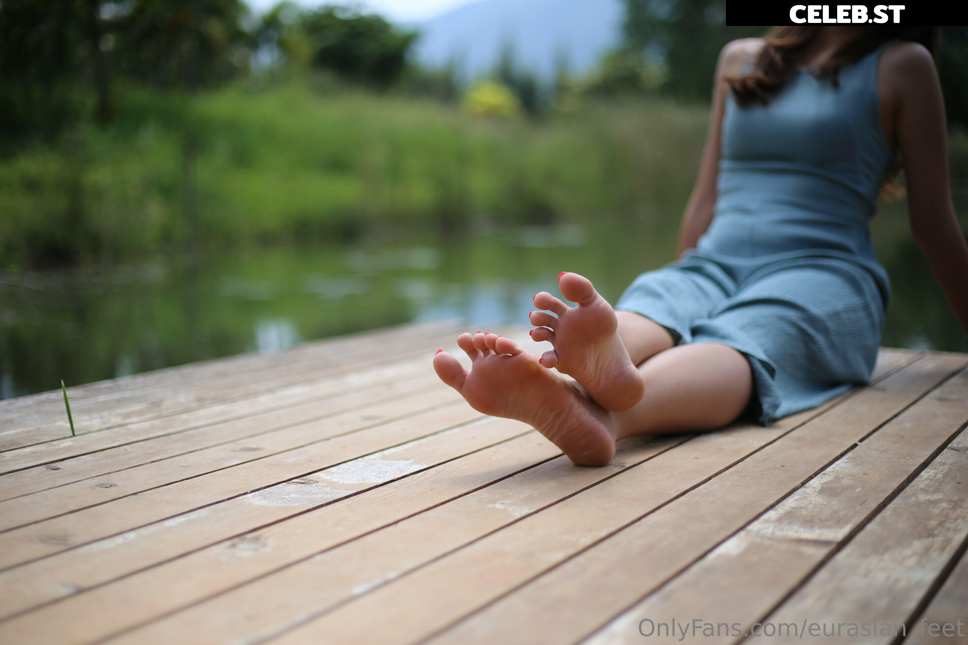 eurasian_feet Image 18064739