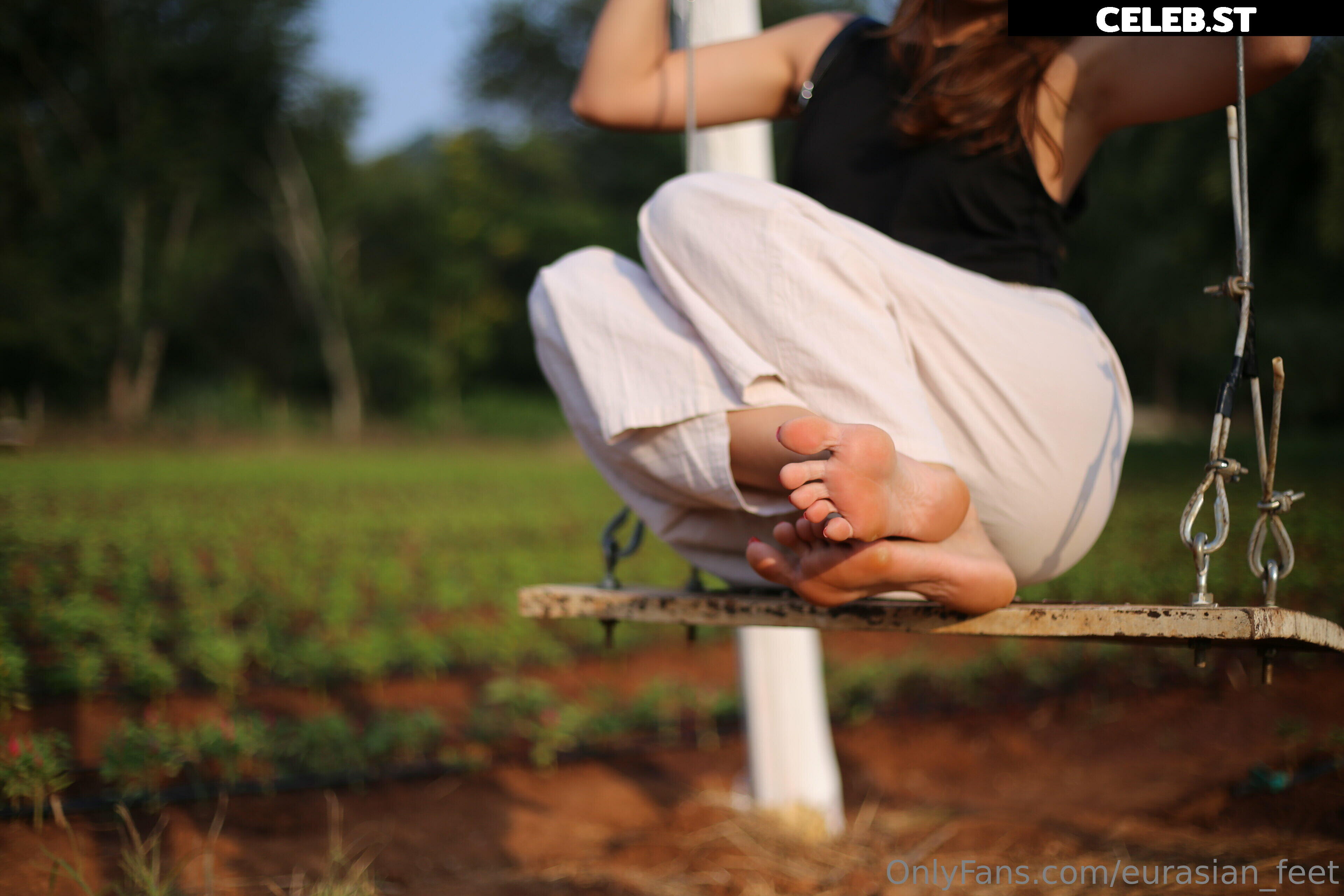 eurasian_feet Image 18064641
