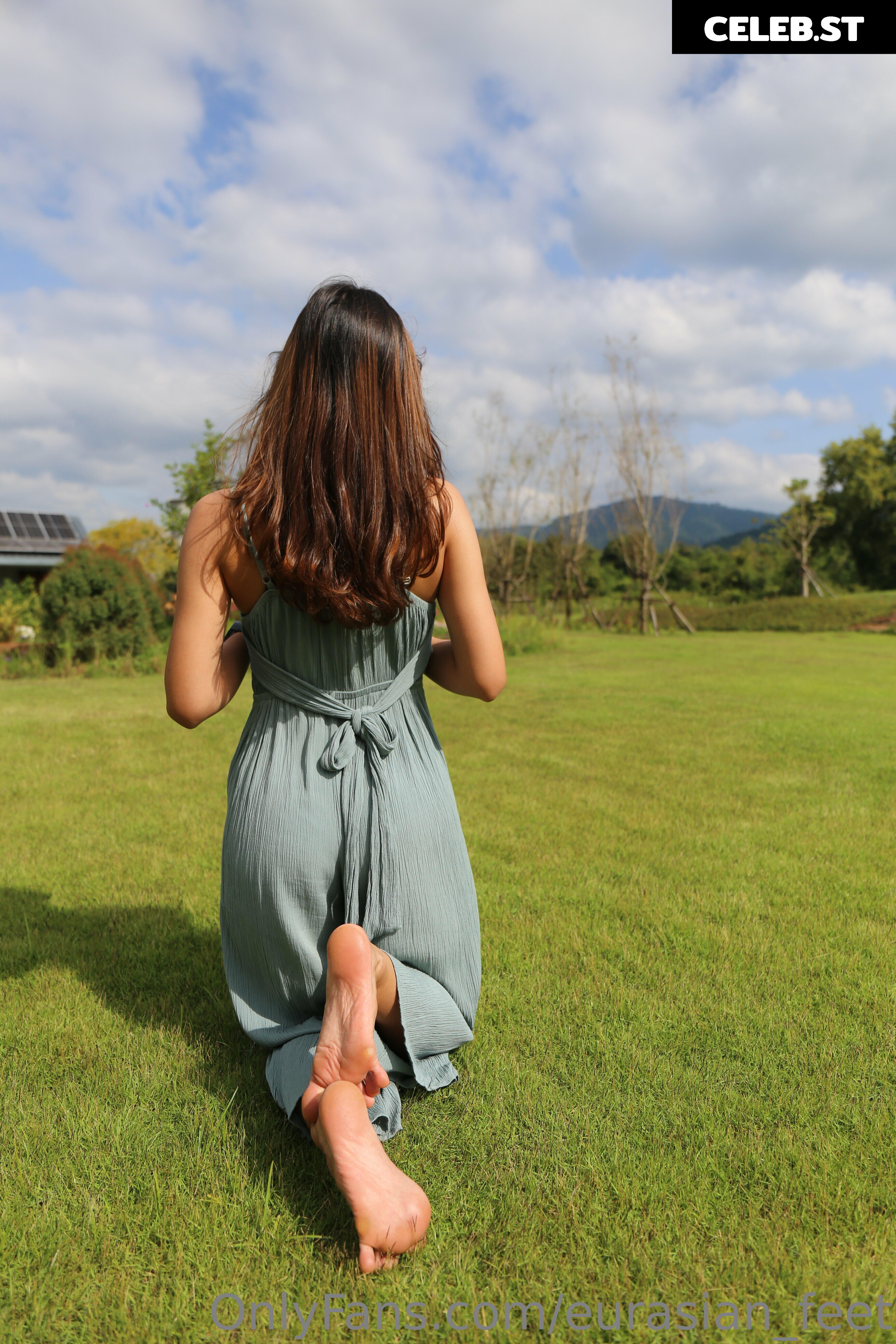 eurasian_feet Image 18064136