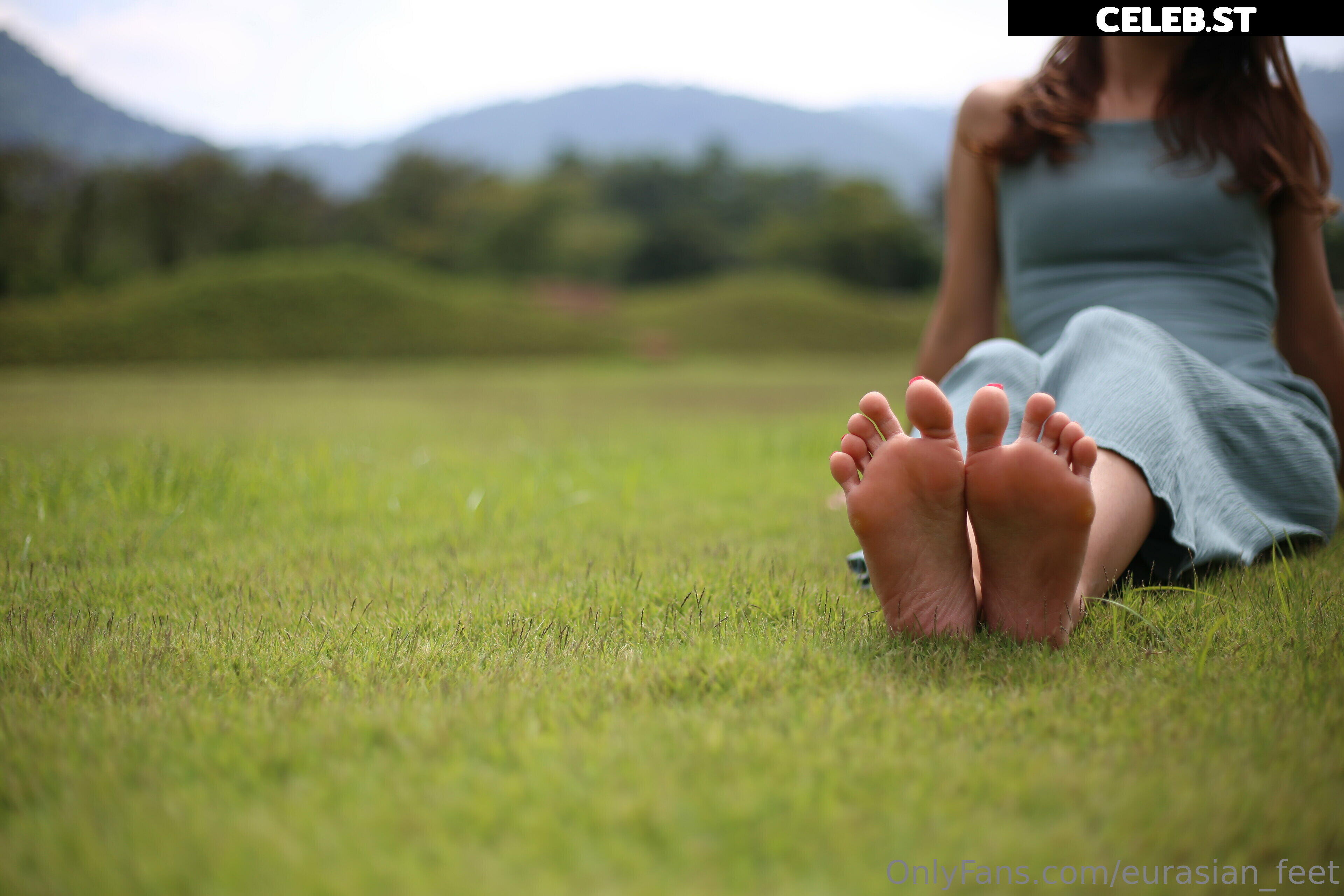 eurasian_feet Image 18064157