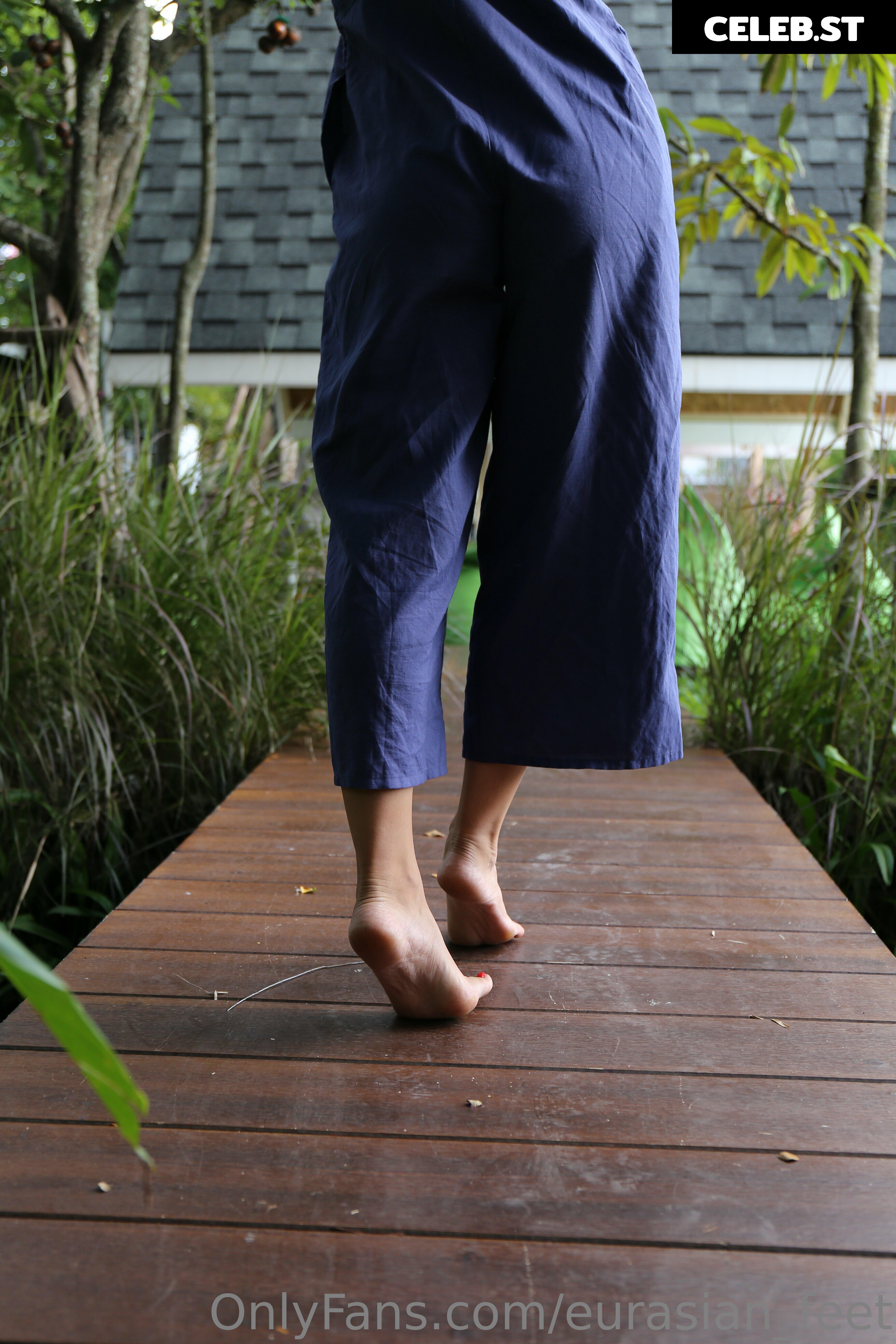 eurasian_feet Image 18064065
