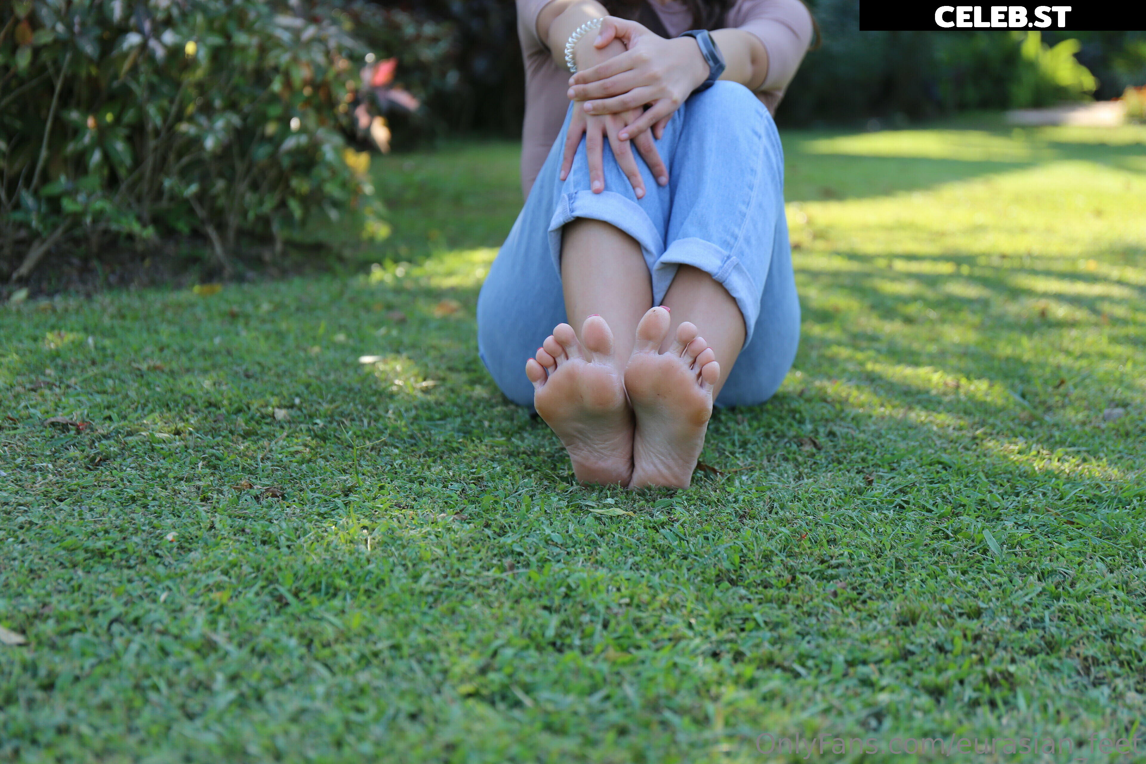 eurasian_feet Image 18064053